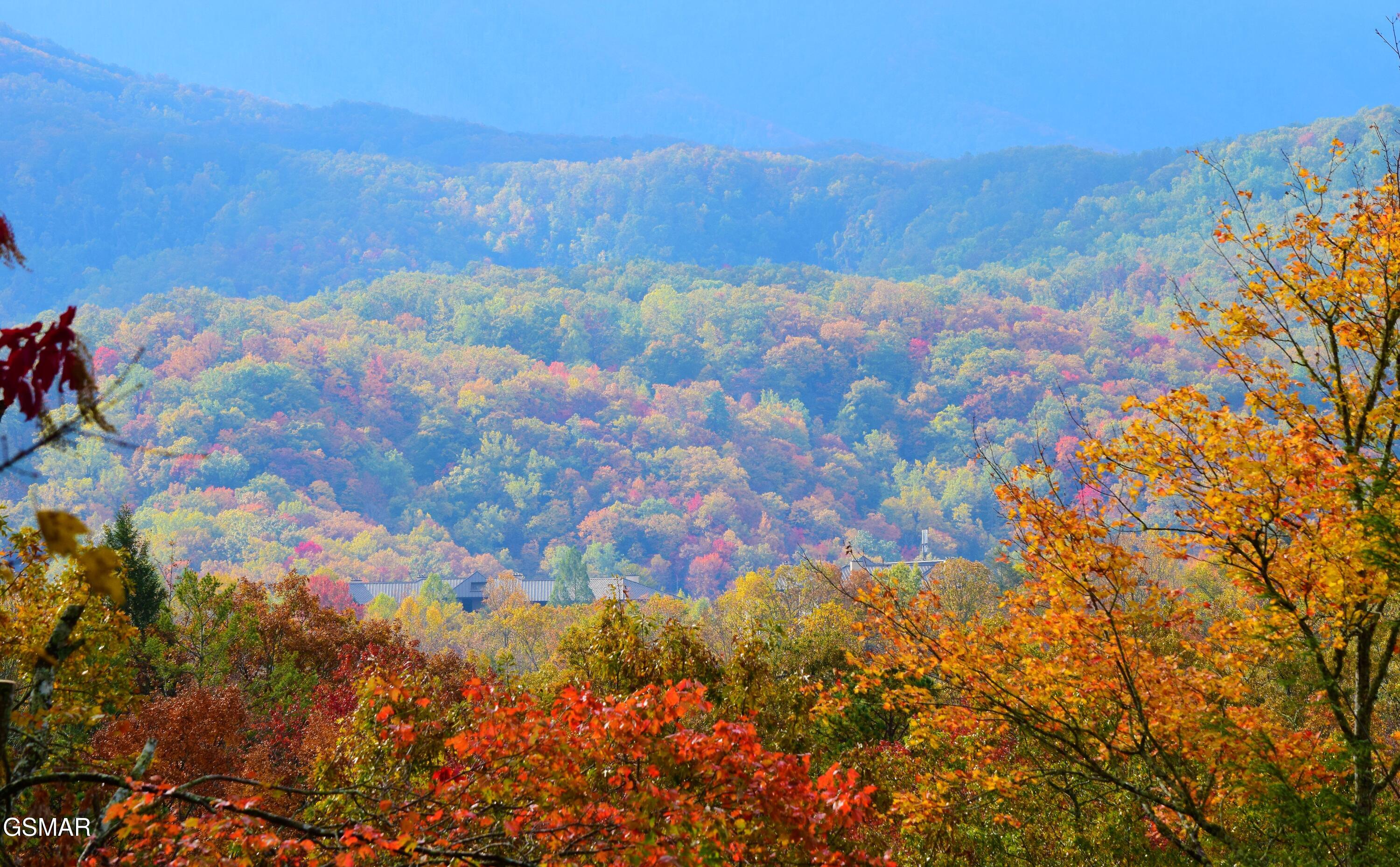 615 N Ownby Drive Gatlinburg TN 37738