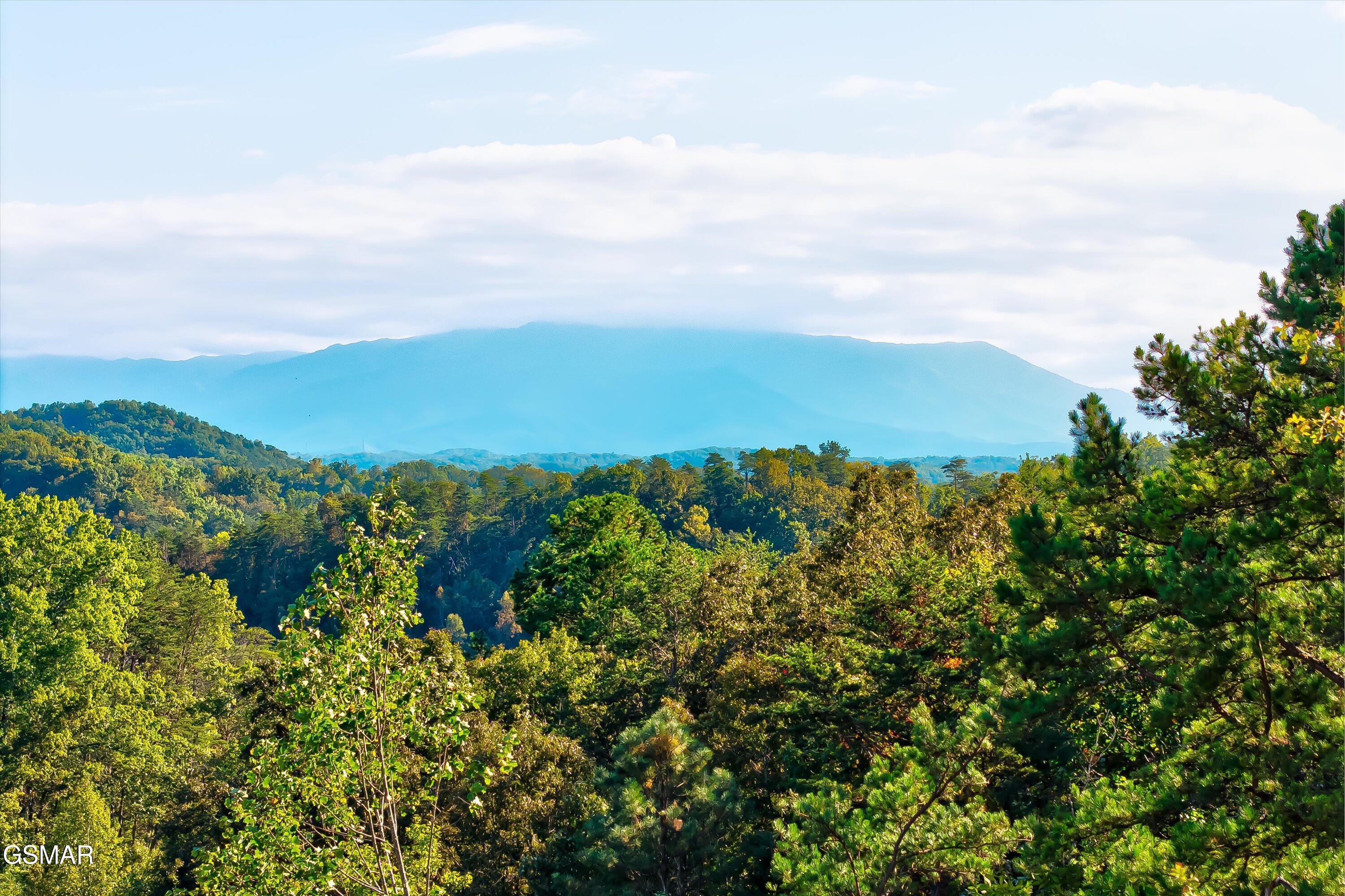 2462 Dogwood Loop Drive Sevierville TN 37876