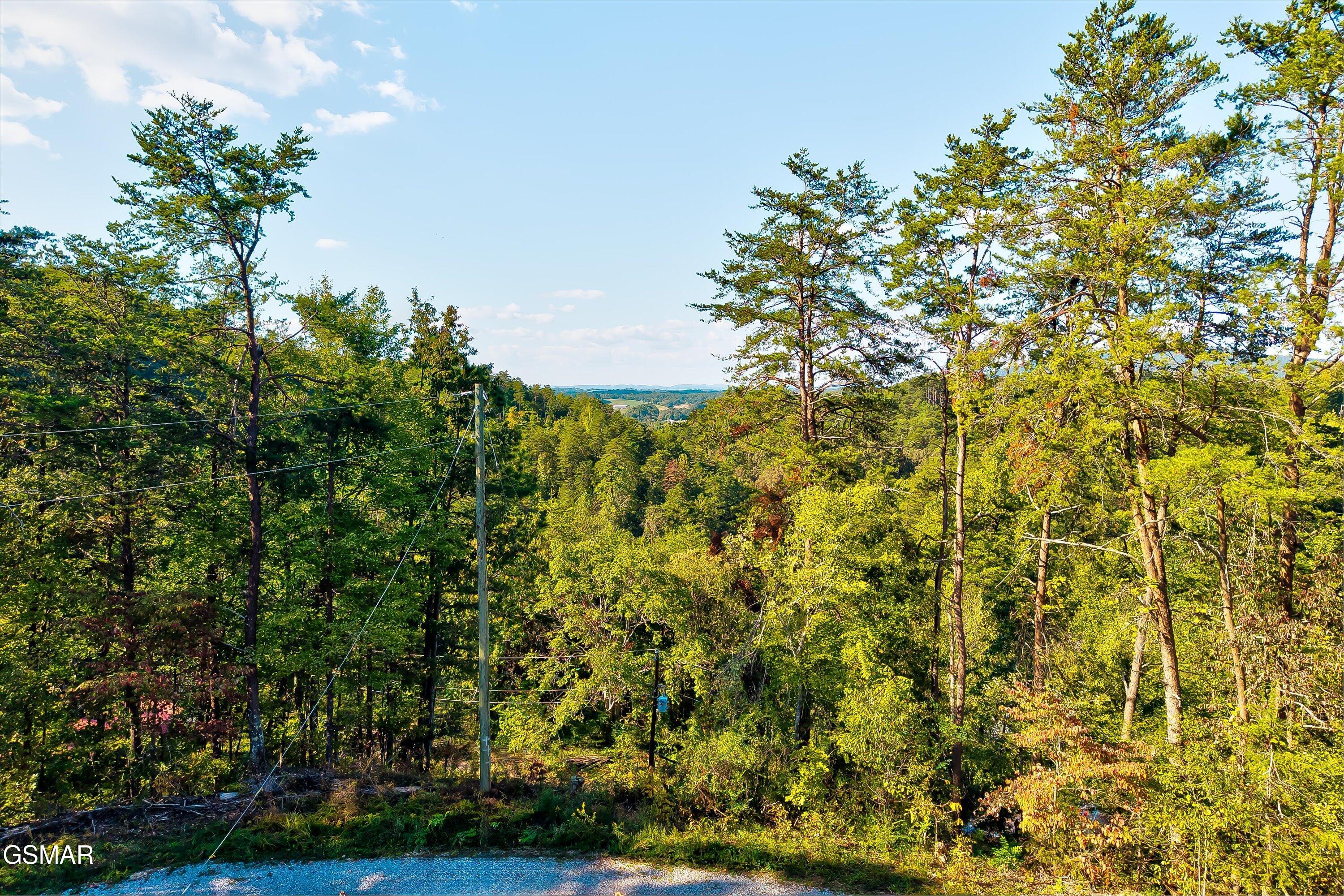 2462 Dogwood Loop Drive Sevierville TN 37876
