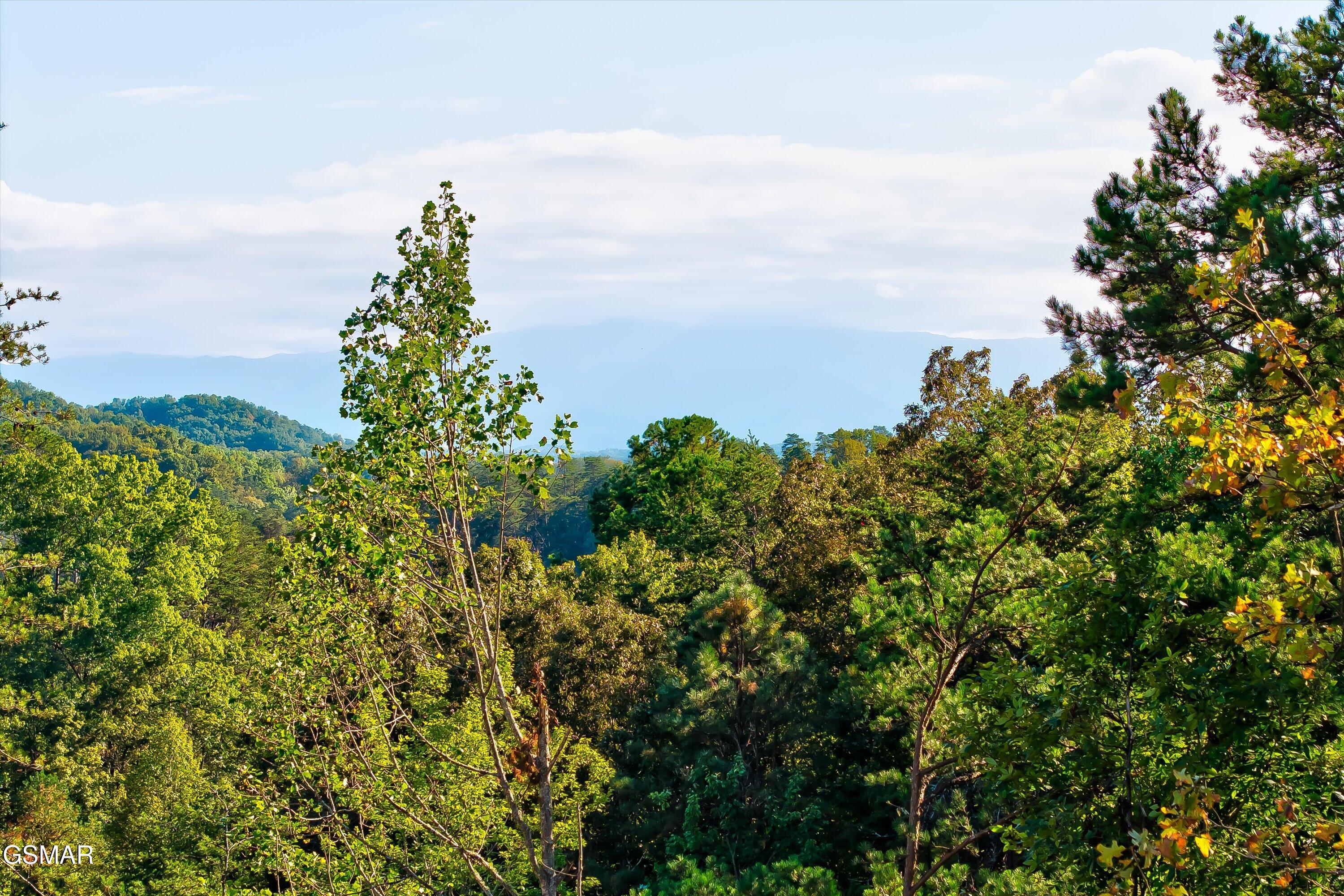 2462 Dogwood Loop Drive Sevierville TN 37876