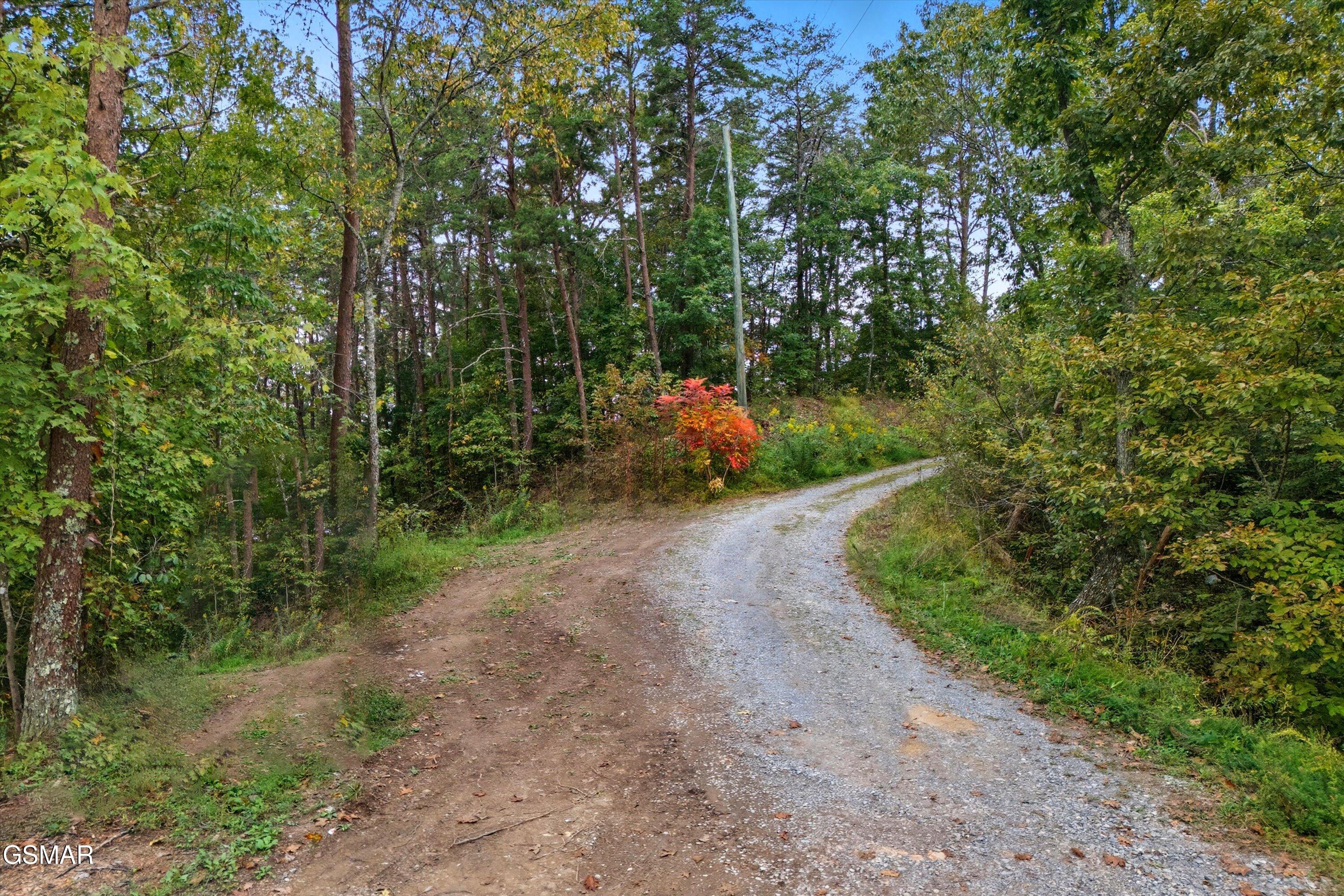2462 Dogwood Loop Drive Sevierville TN 37876