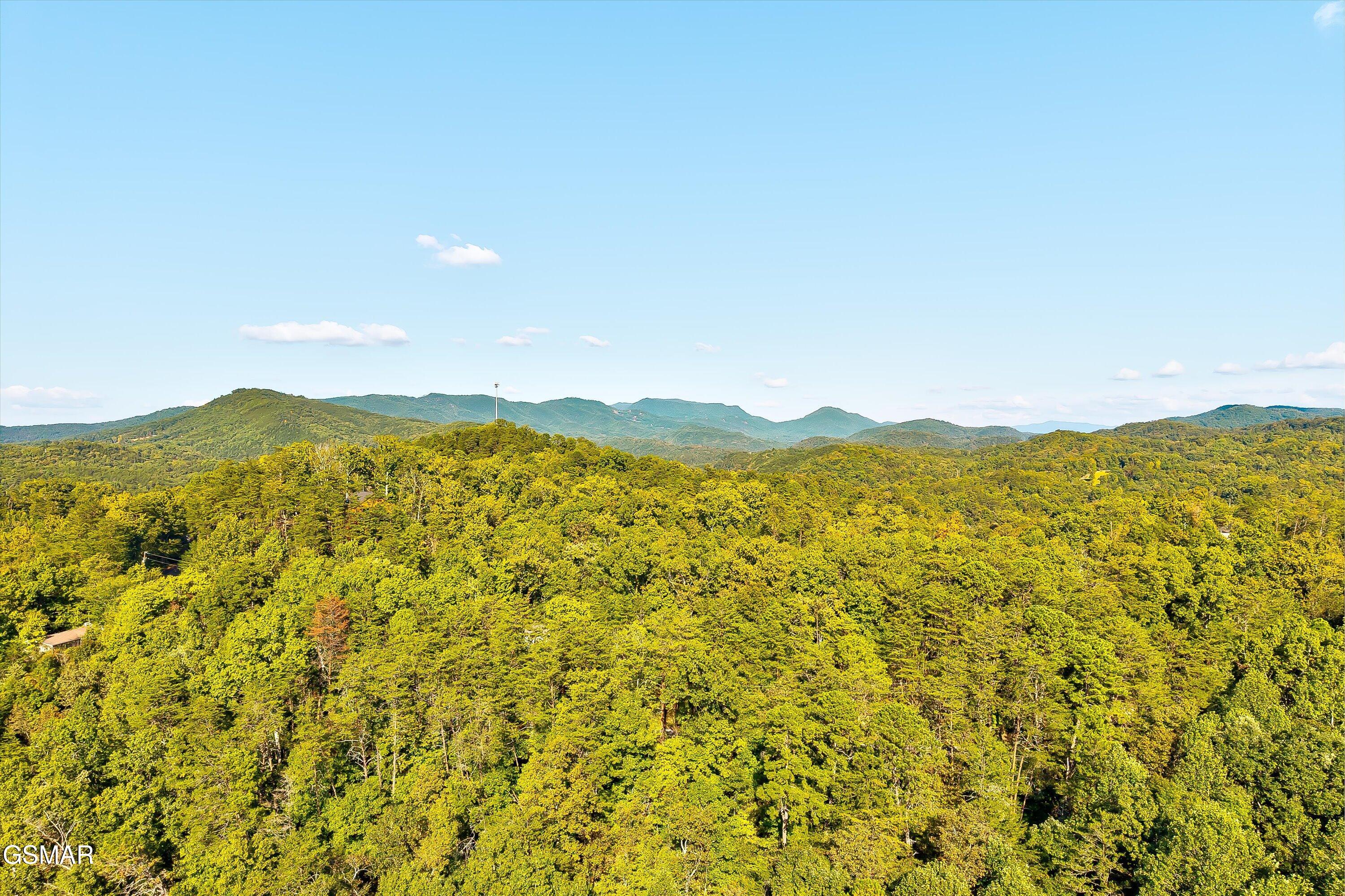 2462 Dogwood Loop Drive Sevierville TN 37876