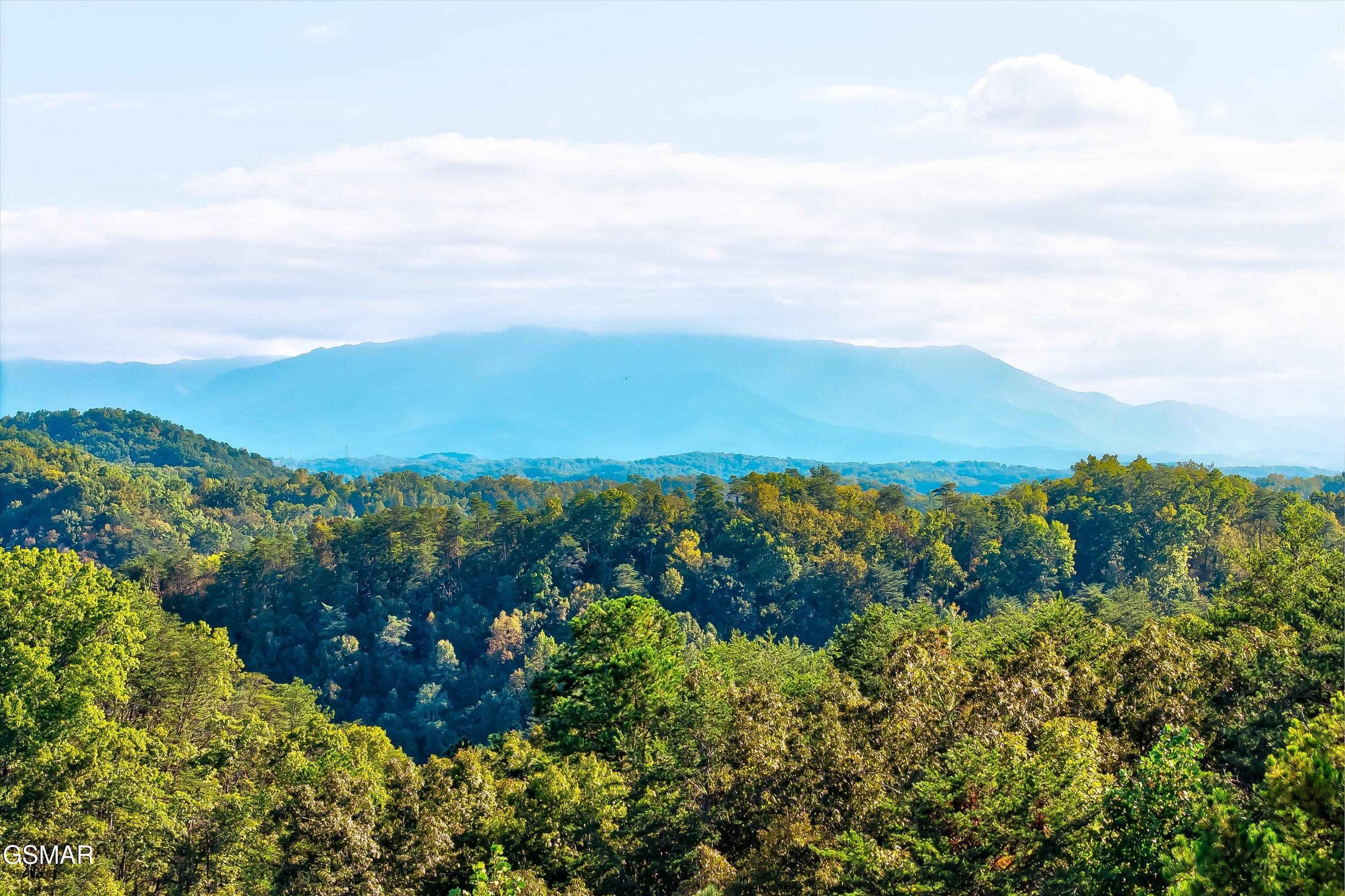2462 Dogwood Loop Drive Sevierville TN 37876