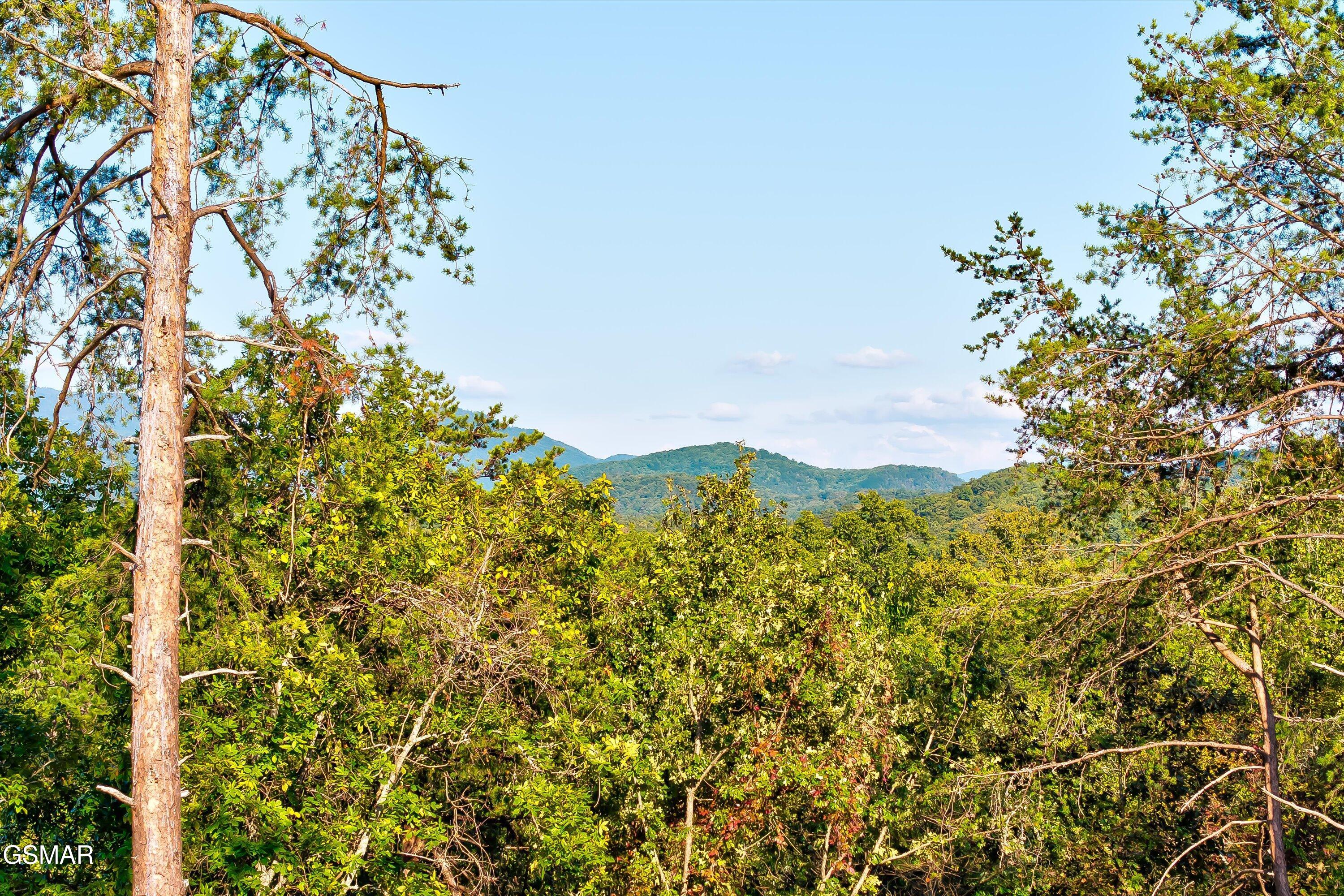 2462 Dogwood Loop Drive Sevierville TN 37876
