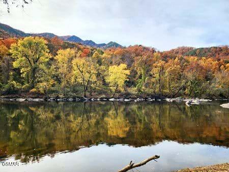 2095 E Highway 25 70 Newport TN 37821