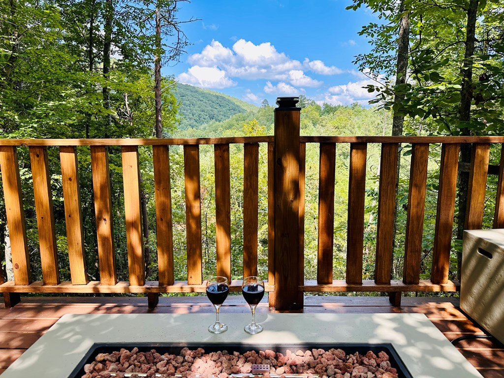 4355 Dahlgren Way Sevierville TN 37876