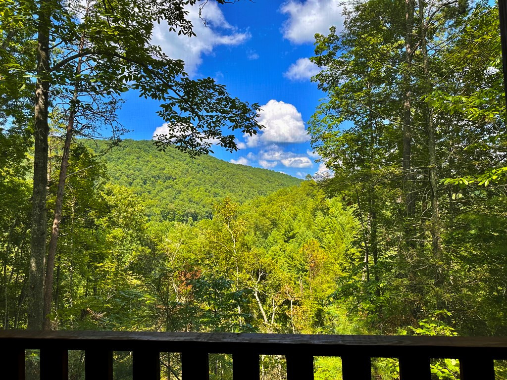 4355 Dahlgren Way Sevierville TN 37876