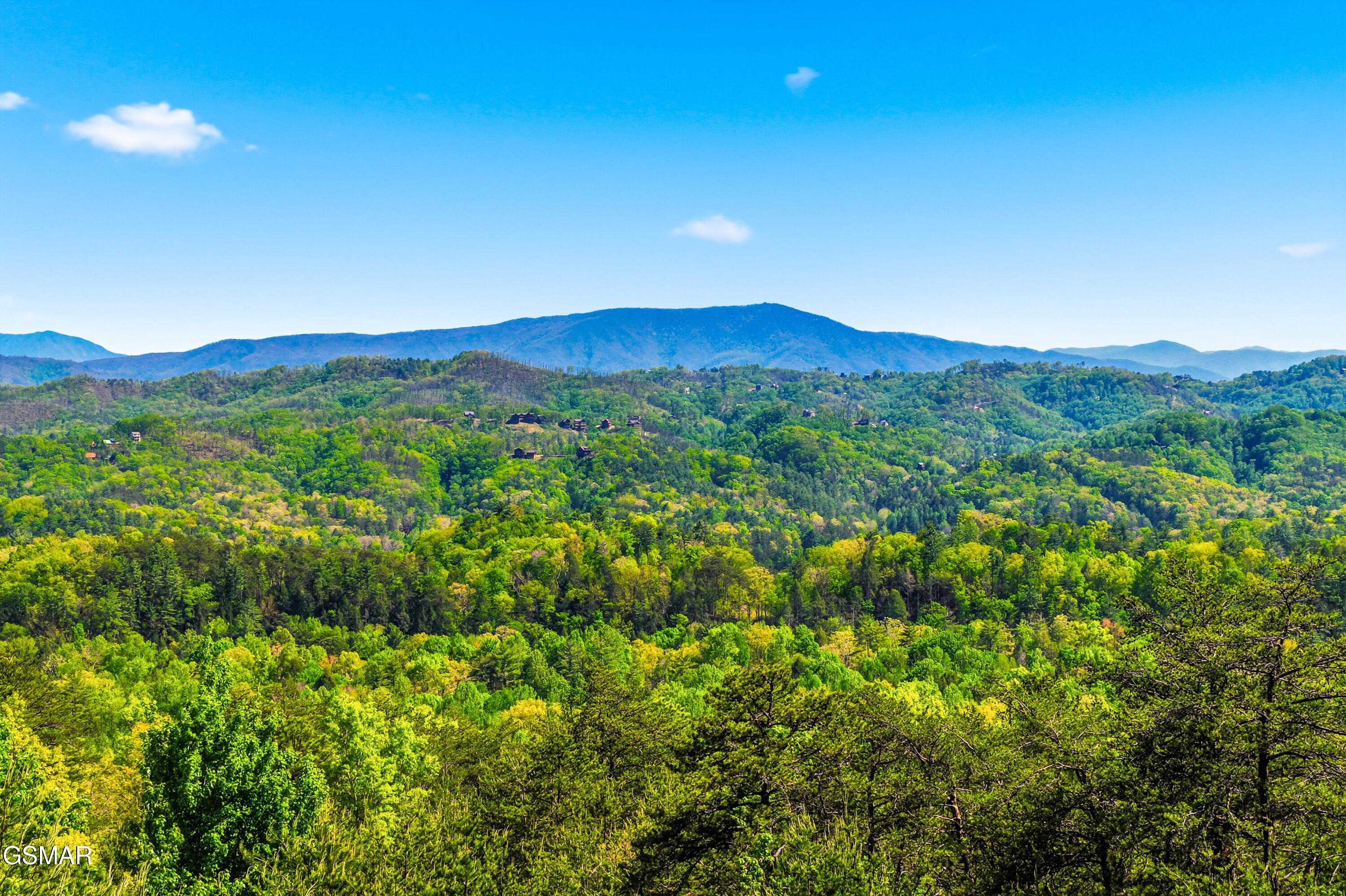 2456 Hackberry Drive Sevierville TN 37862