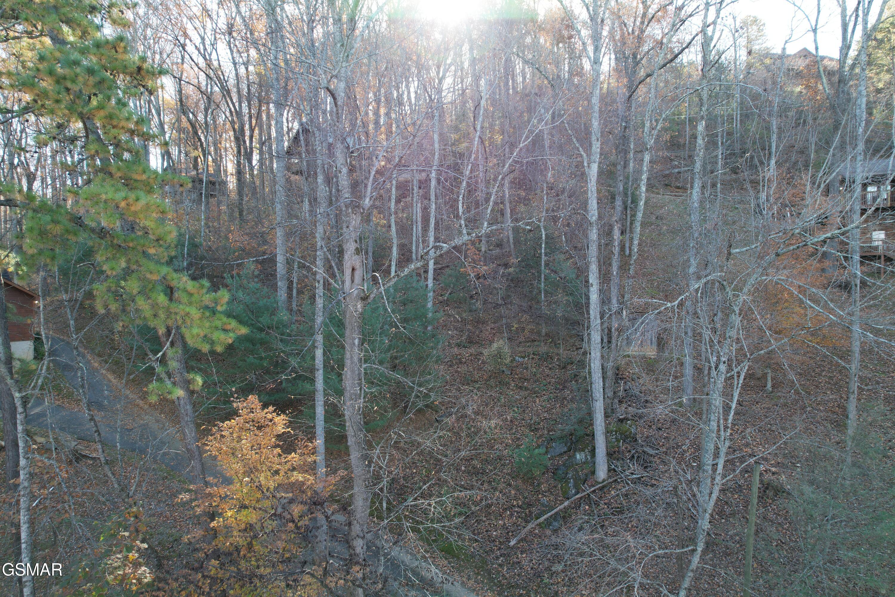 4023 Ole Smoky Way Sevierville TN 37862