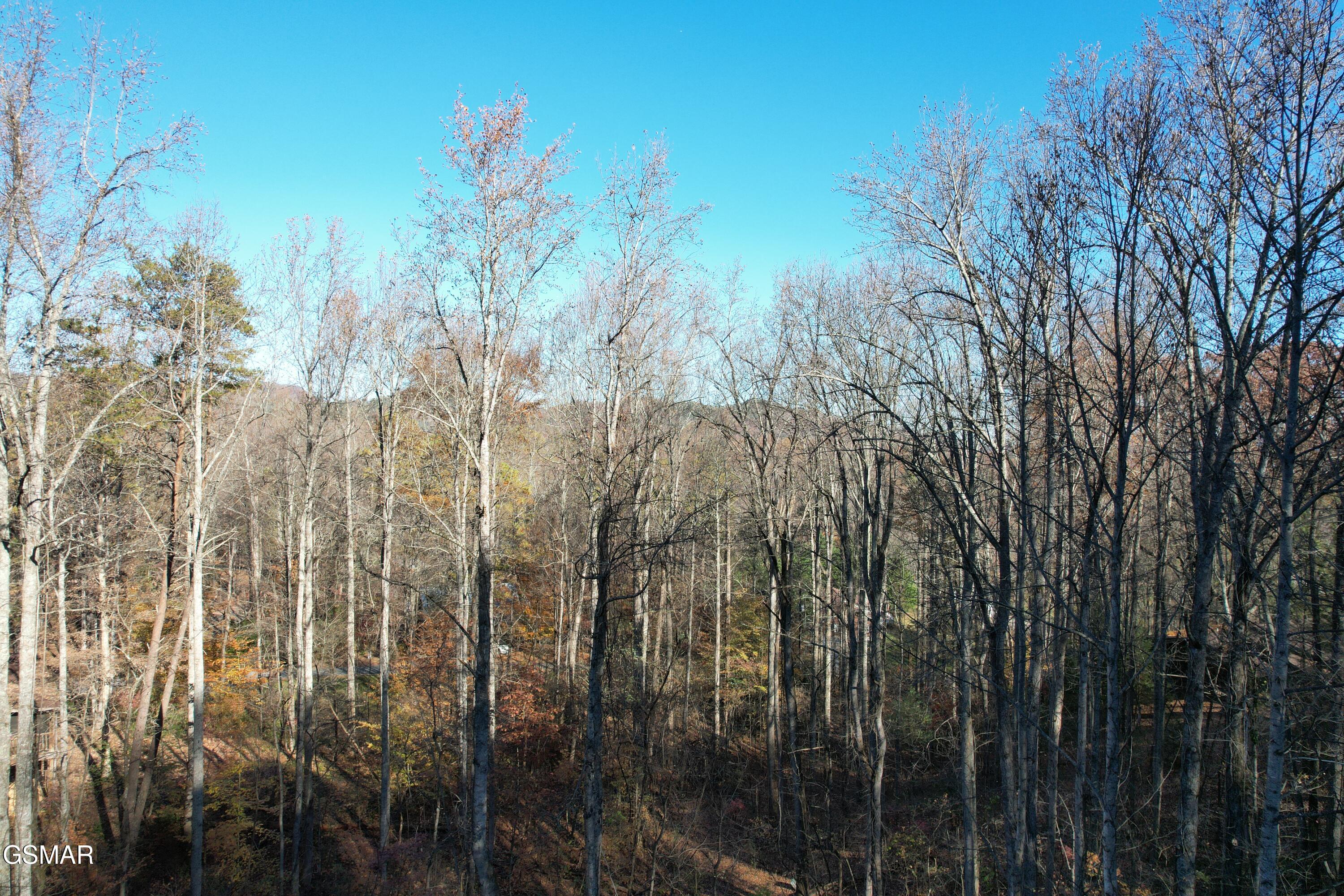 4023 Ole Smoky Way Sevierville TN 37862