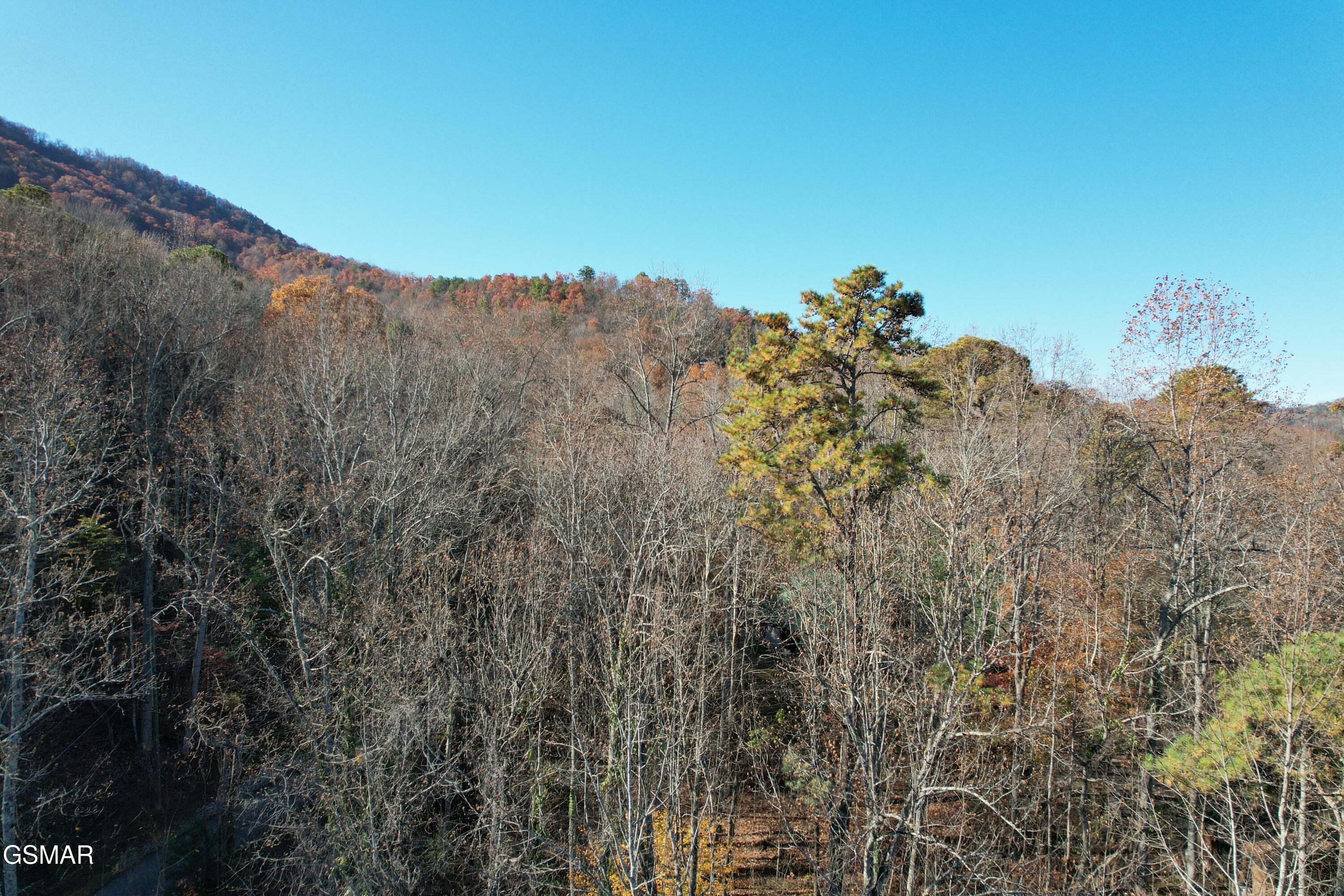 4023 Ole Smoky Way Sevierville TN 37862