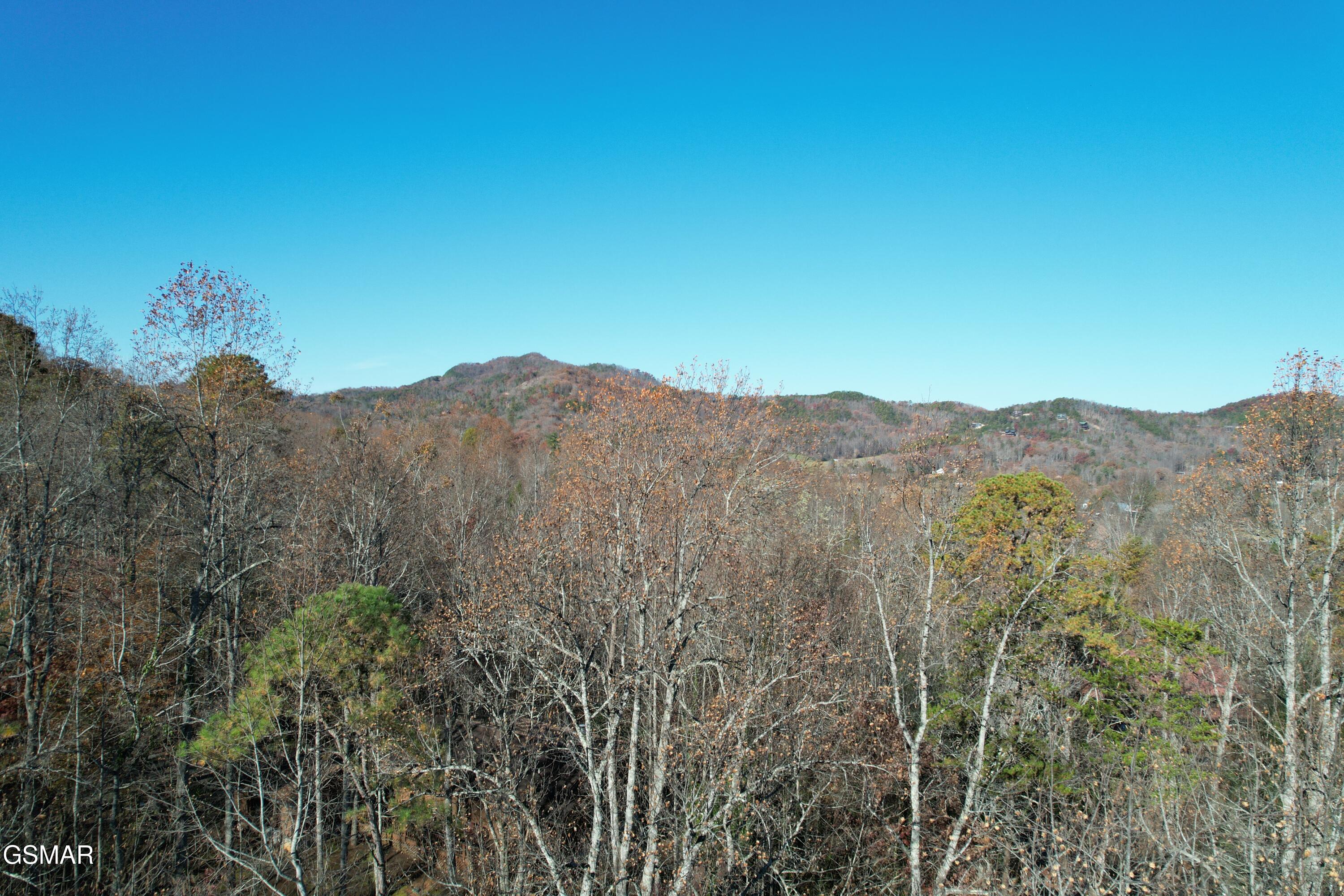 4023 Ole Smoky Way Sevierville TN 37862