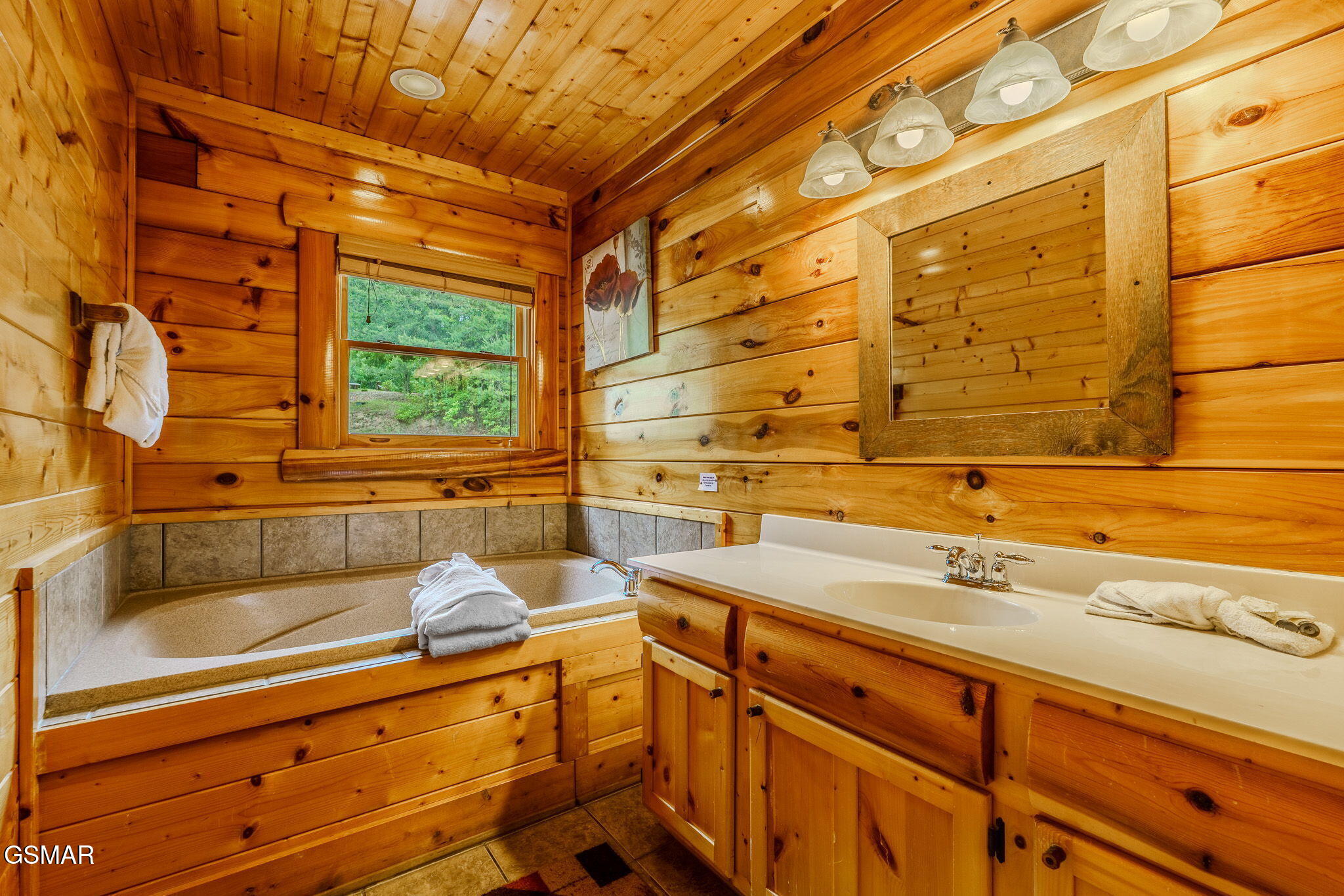 2724 Cats Paw Lane Sevierville TN 37862