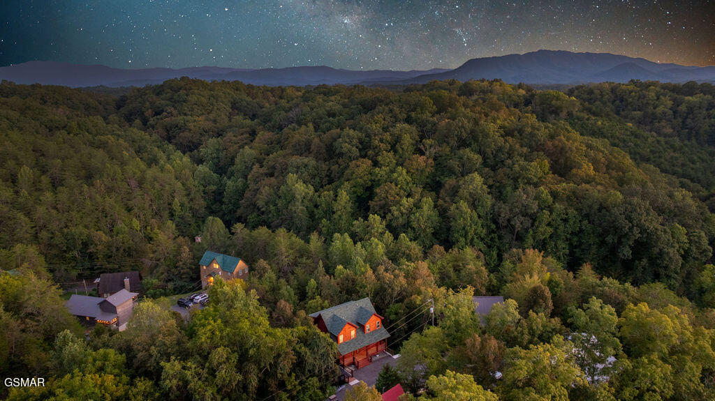 1611 White Halo Court Sevierville TN 37876