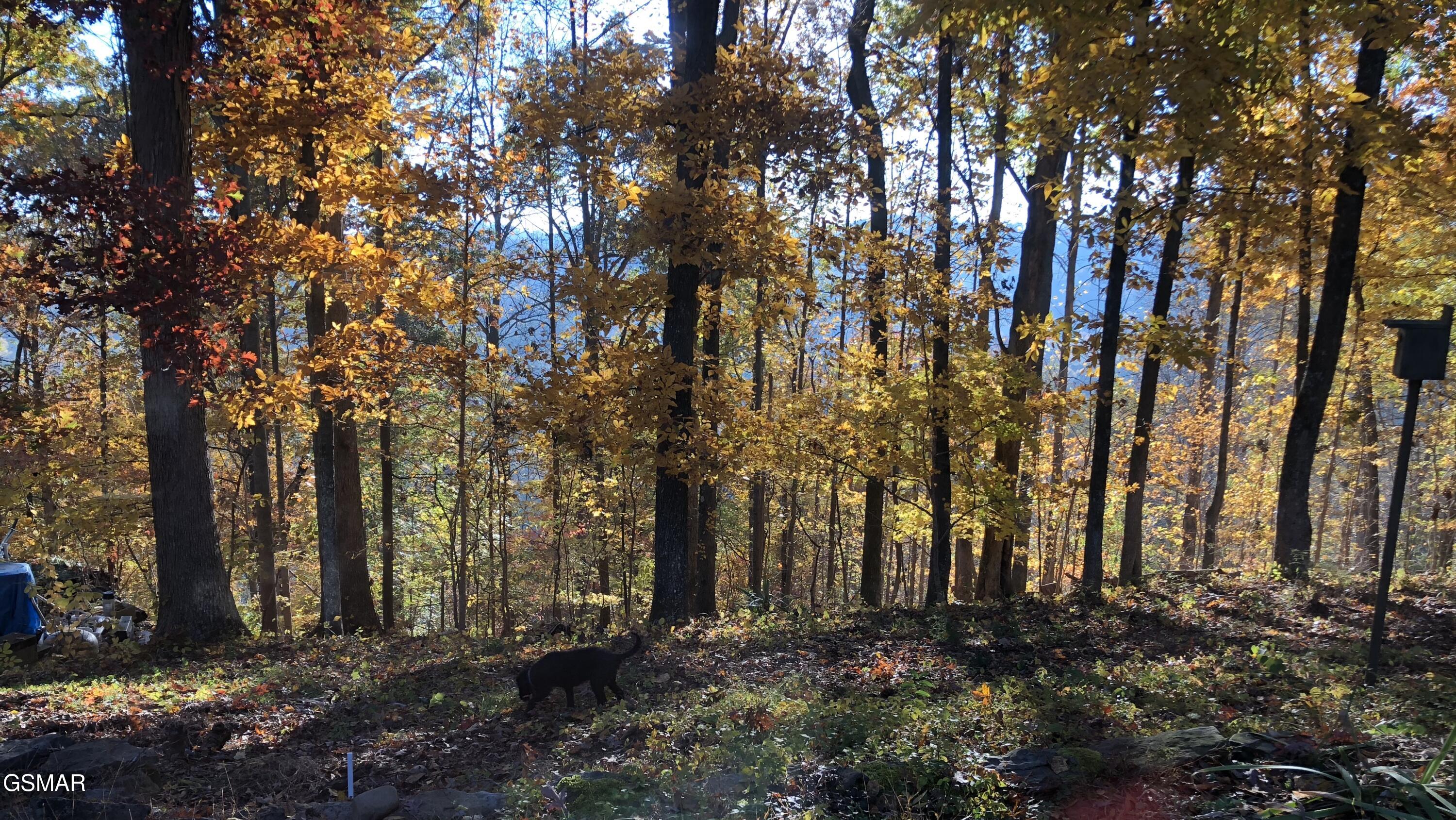 804 S Shiloh Road Seymour TN 37865