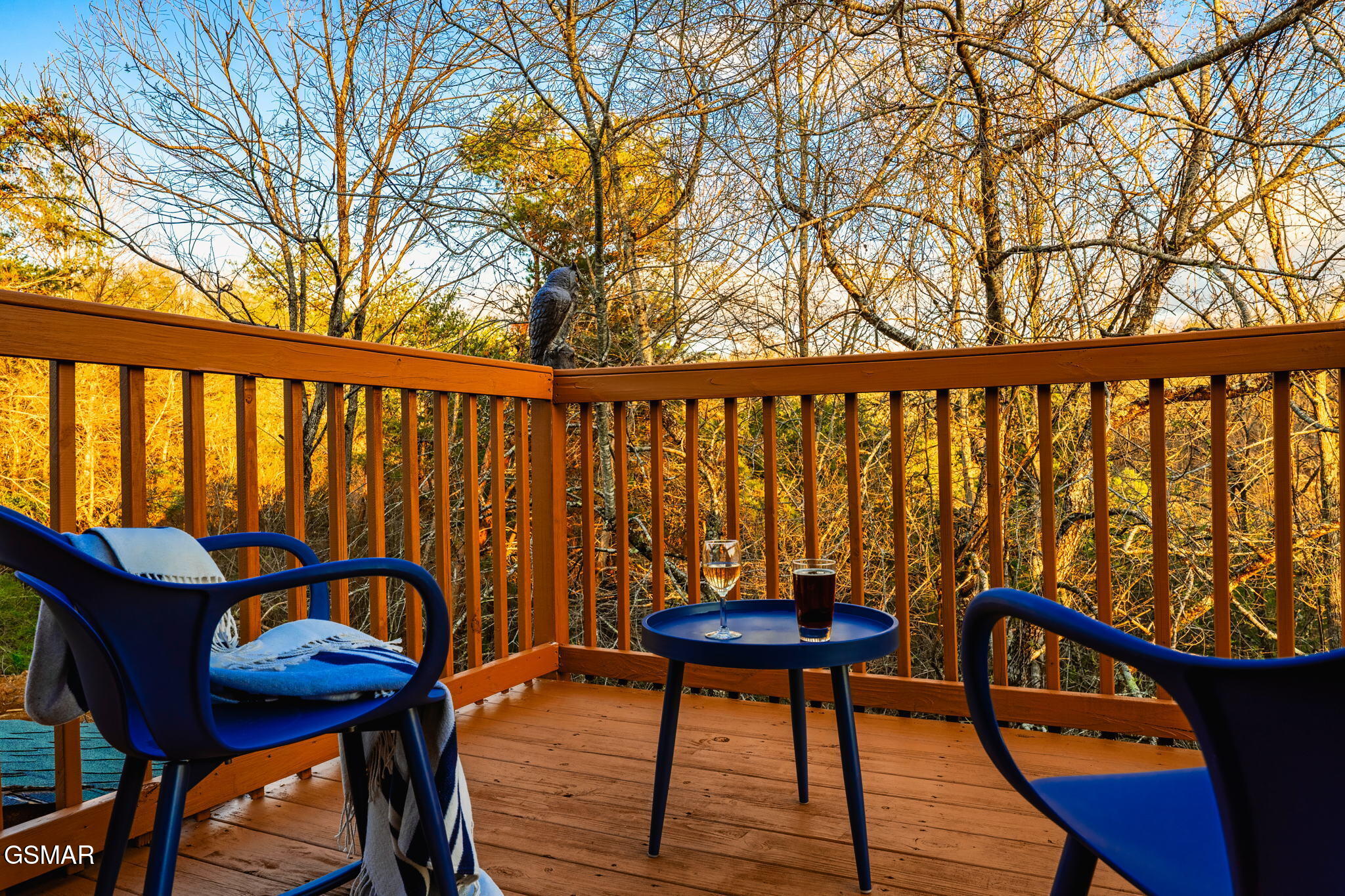 1008 Walini Way Sevierville TN 37876