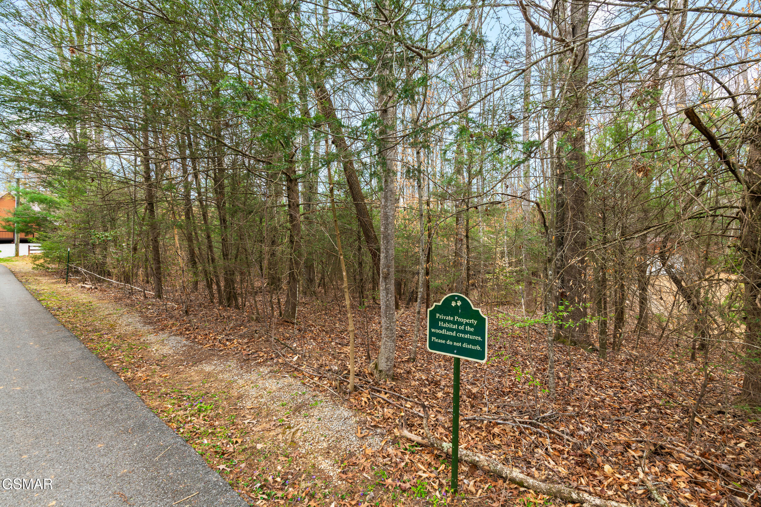 3840 Saddle Brook Way Sevierville TN 37862