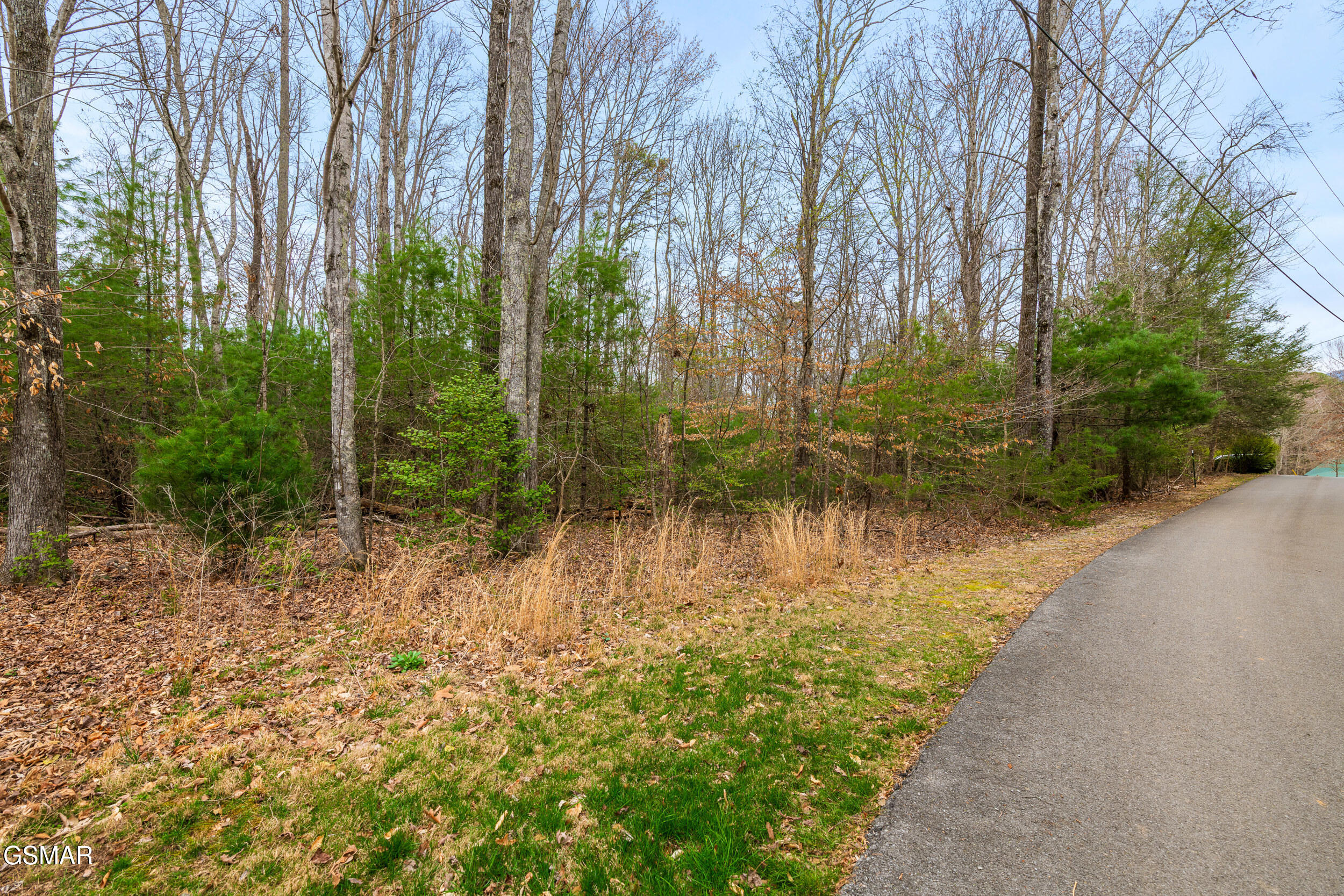3840 Saddle Brook Way Sevierville TN 37862