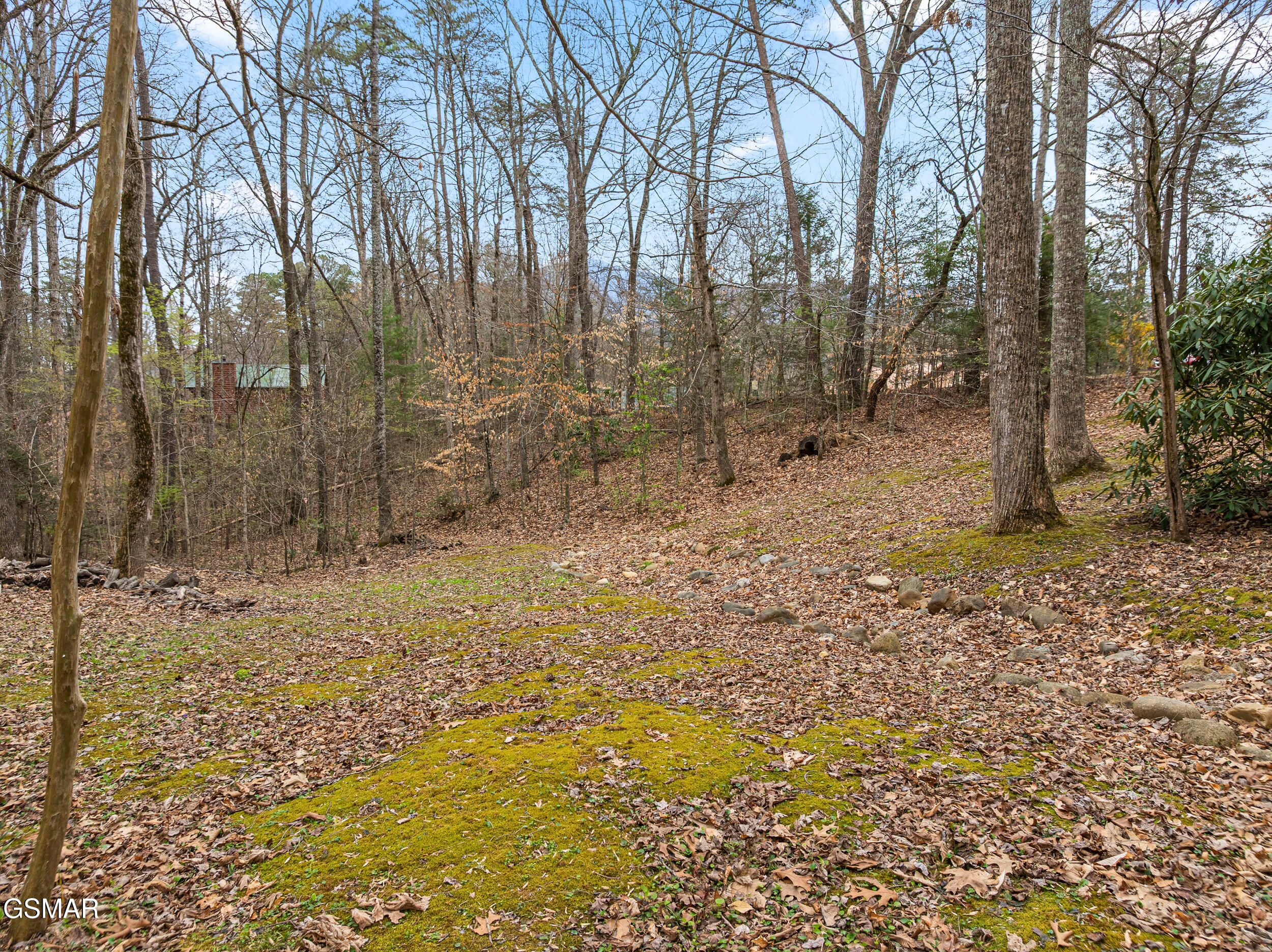 3840 Saddle Brook Way Sevierville TN 37862