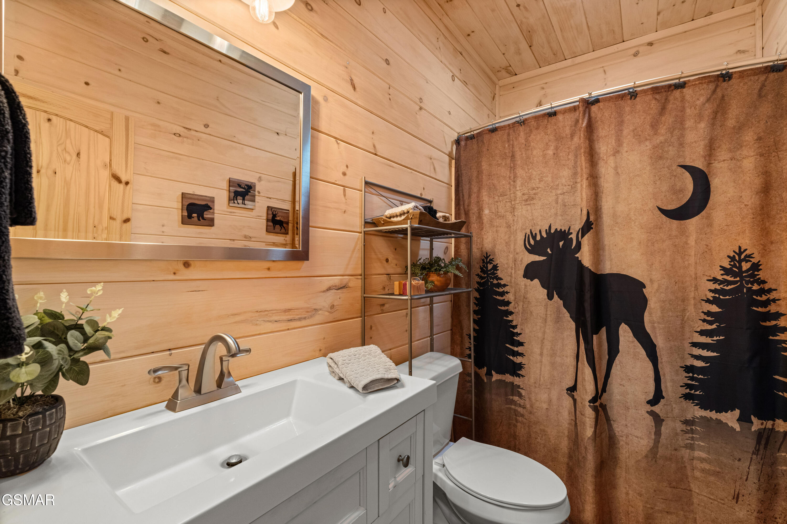 3851 Mistletoe Loop Sevierville TN 37876