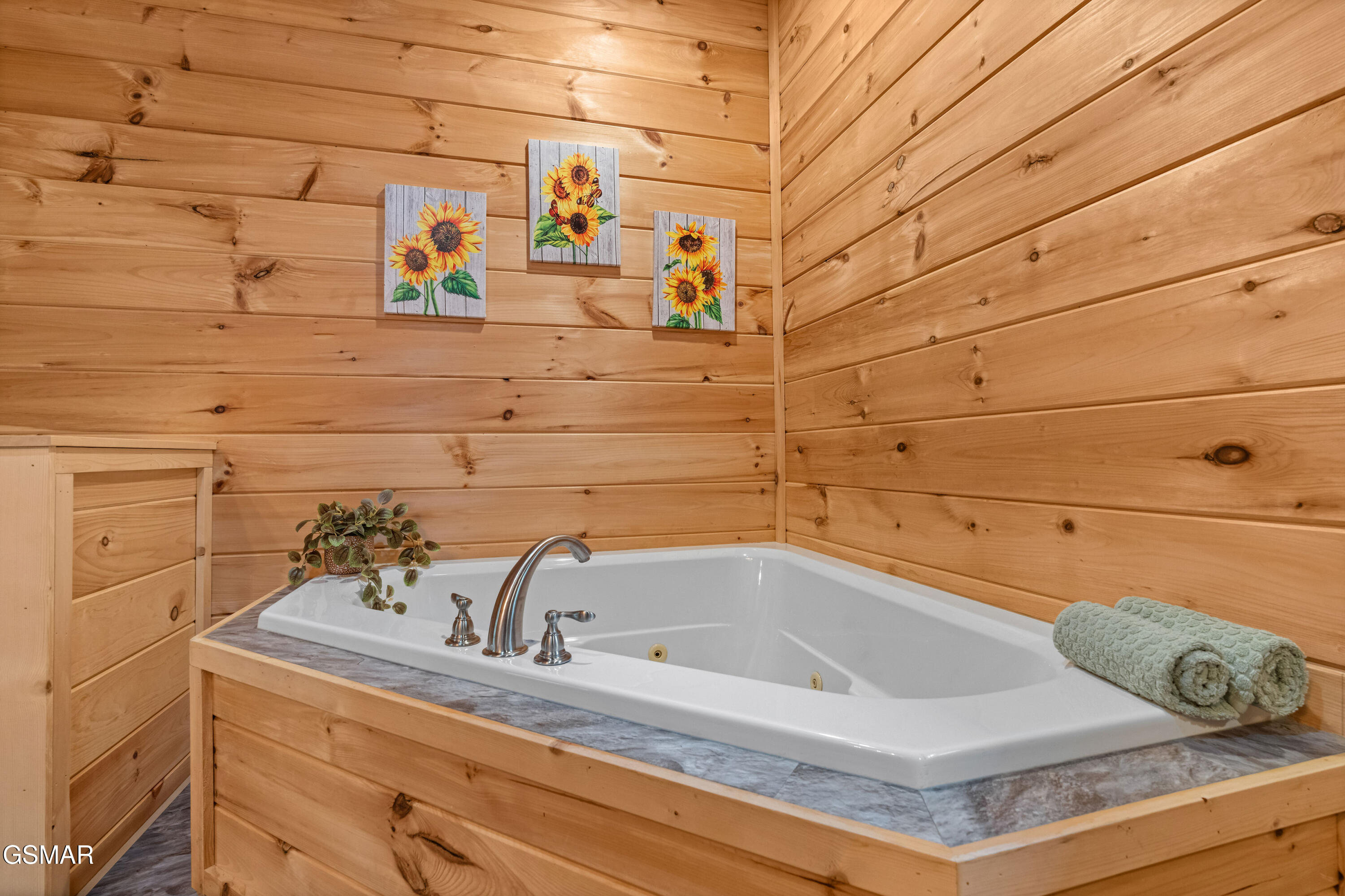 3851 Mistletoe Loop Sevierville TN 37876