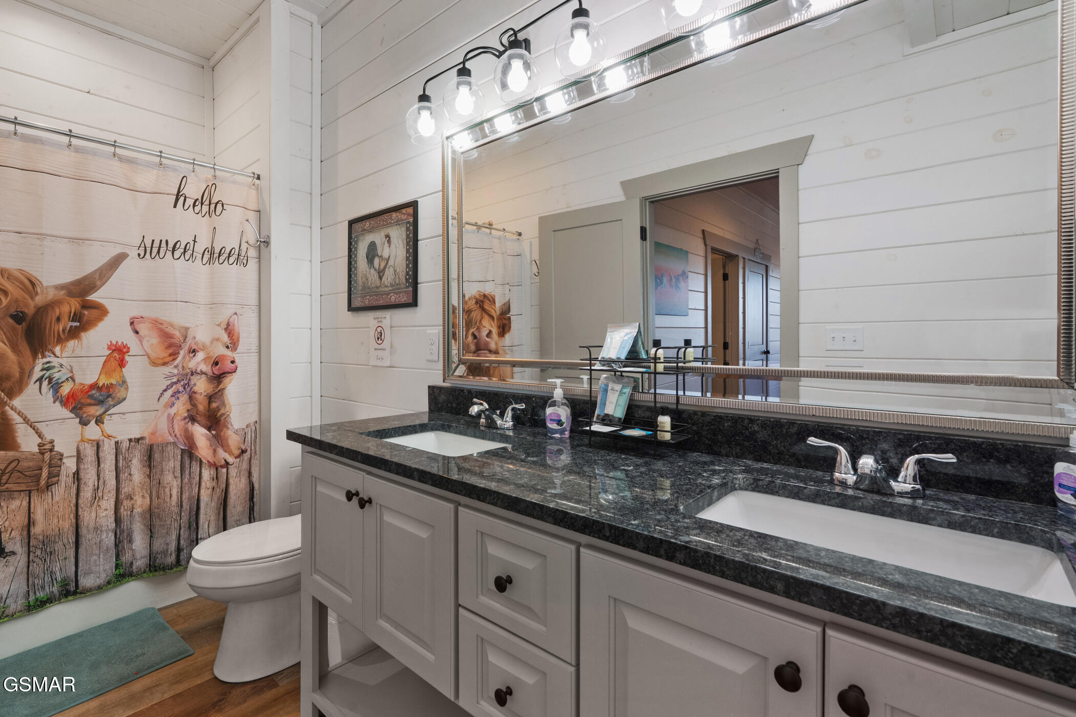 2430 Rainbow Falls Lane Sevierville TN 37862