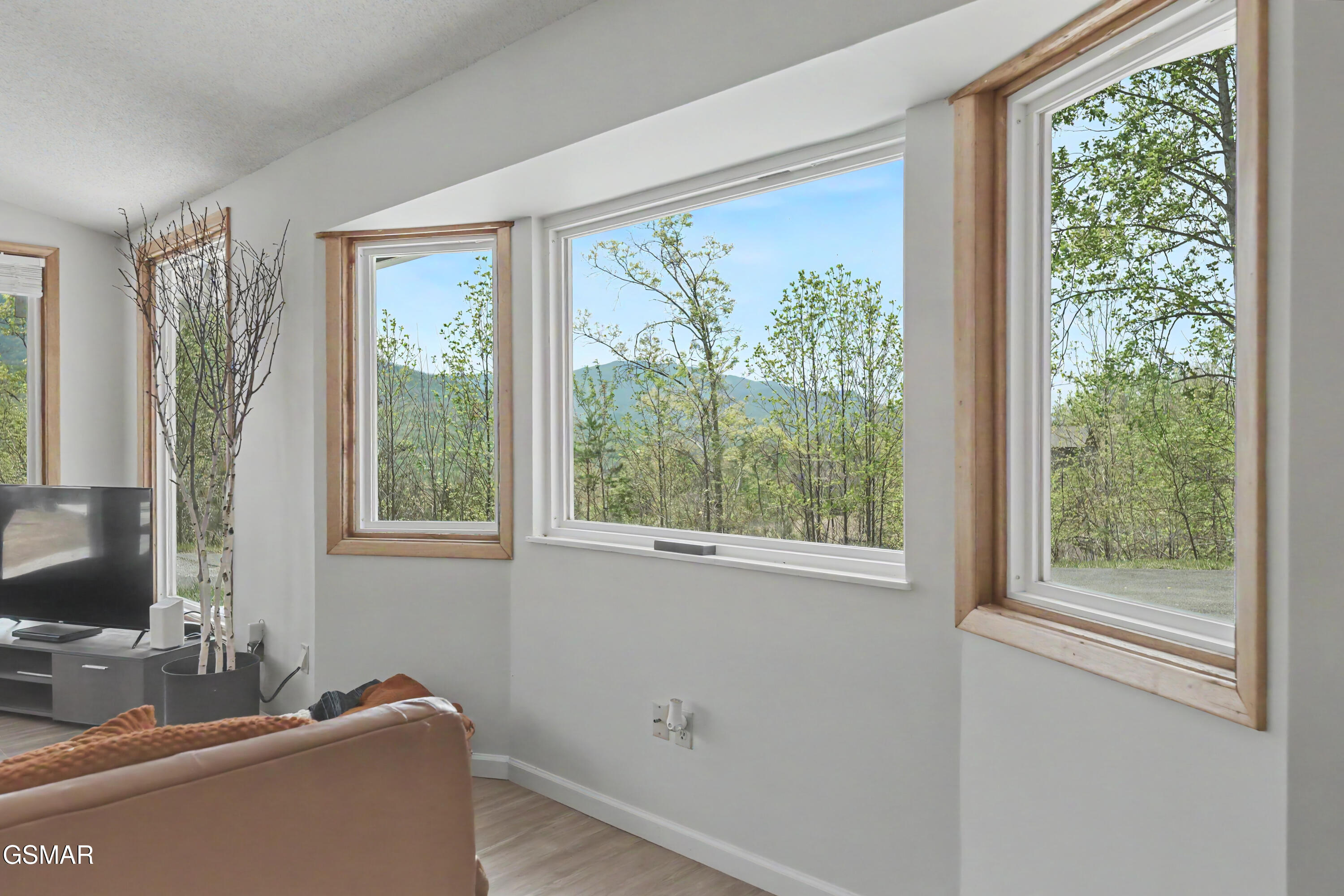 1030 Fox Tail Trail Gatlinburg TN 37738