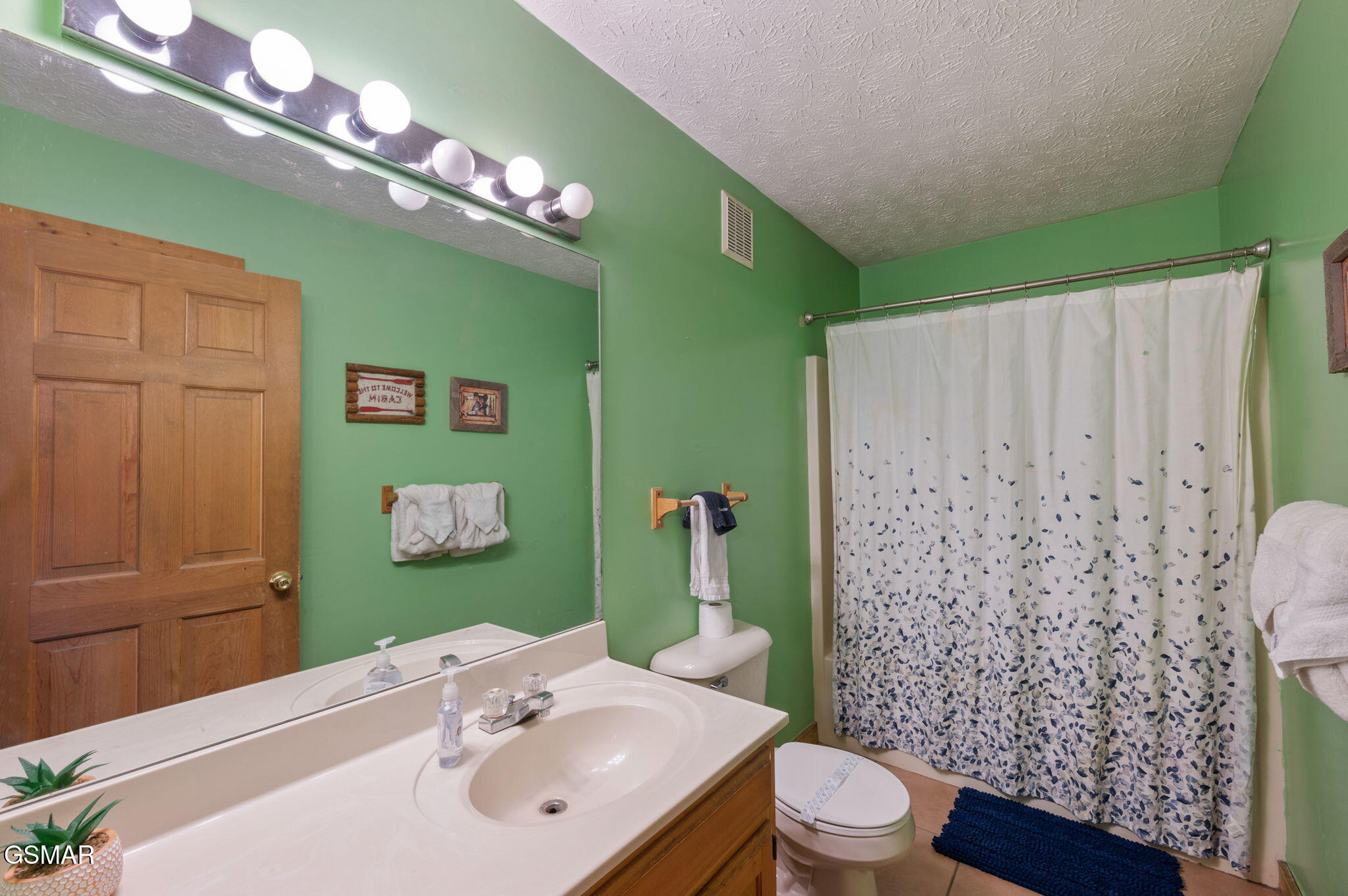 3421 Shelnutt Way Sevierville TN 37862