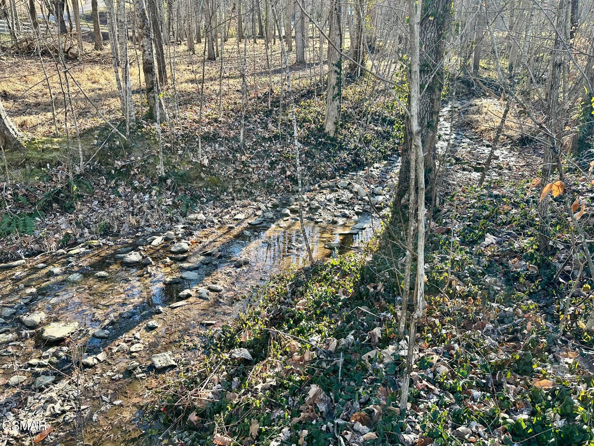 3528 Sugar Camp Circle Sevierville TN 37862