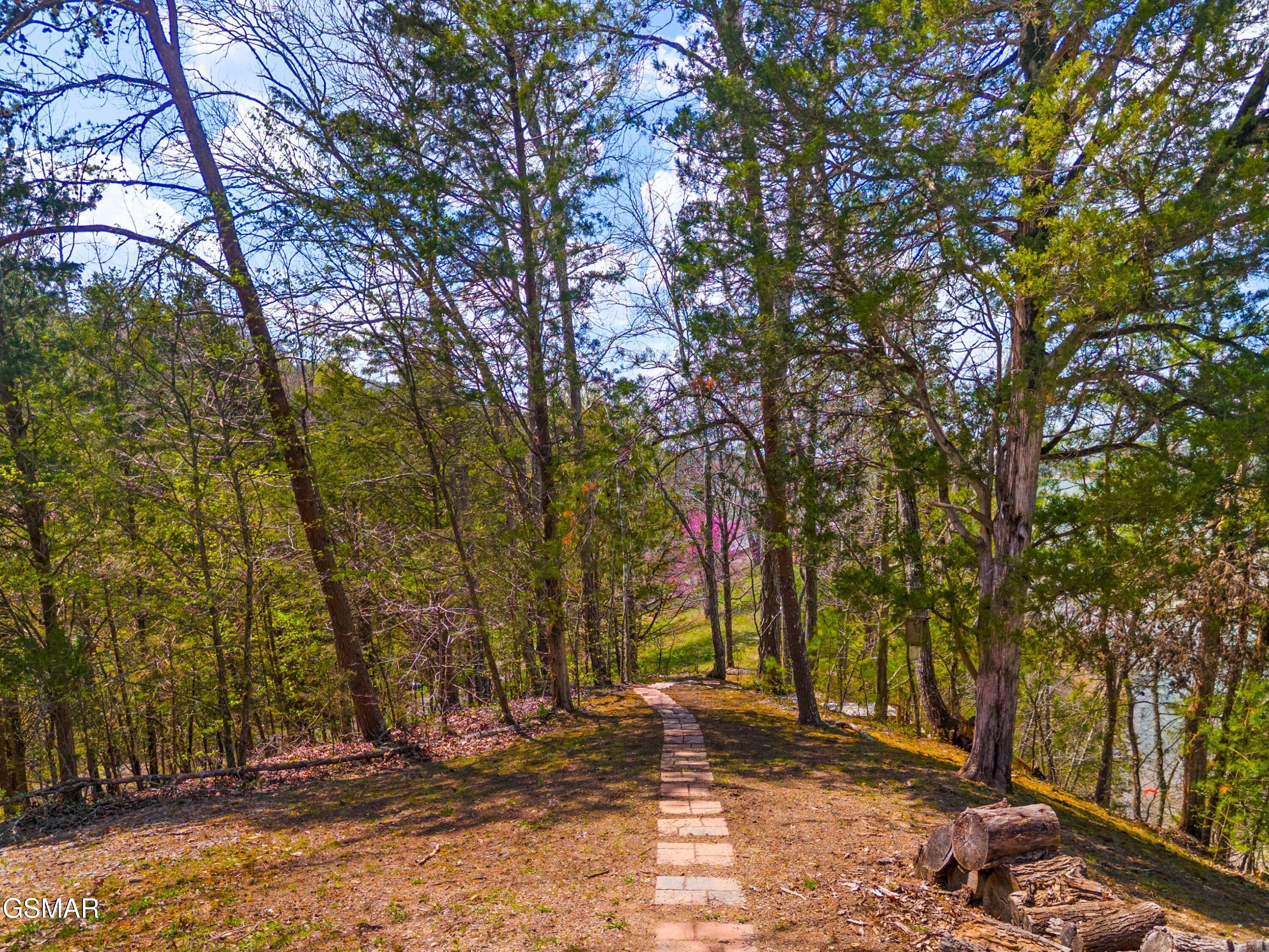 2017 Paradise Hills Road Dandridge TN 37725