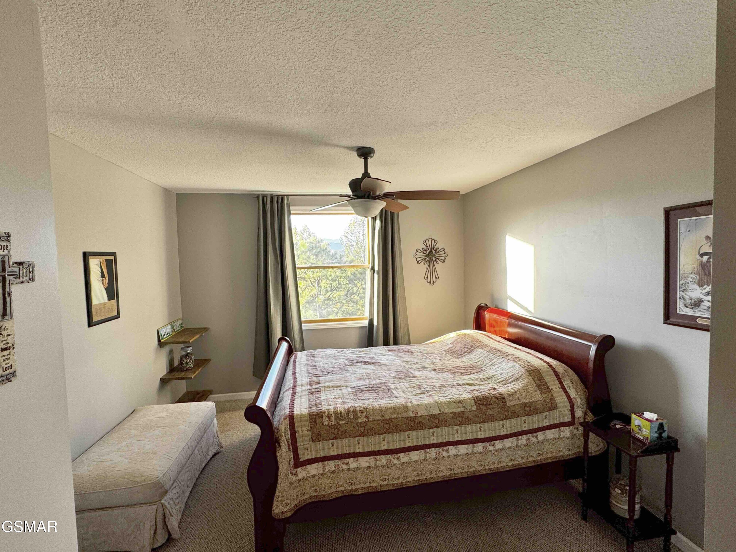 3307 Chinquepin Drive Sevierville TN 37876