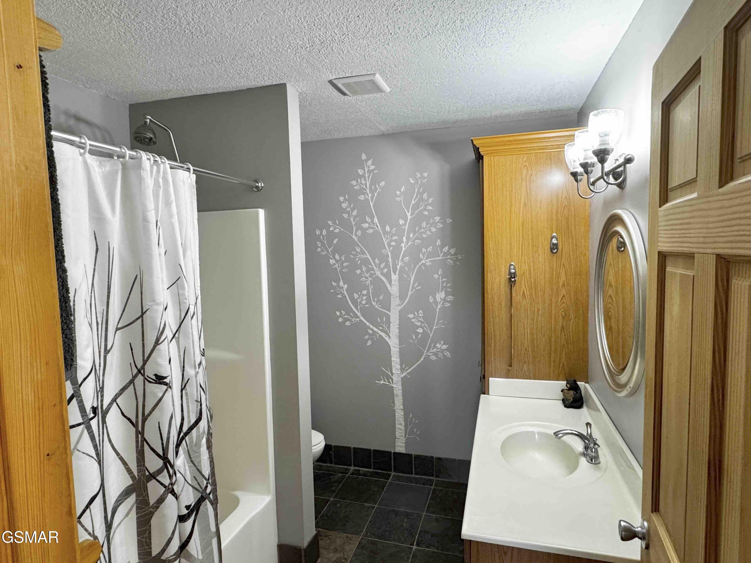 3307 Chinquepin Drive Sevierville TN 37876