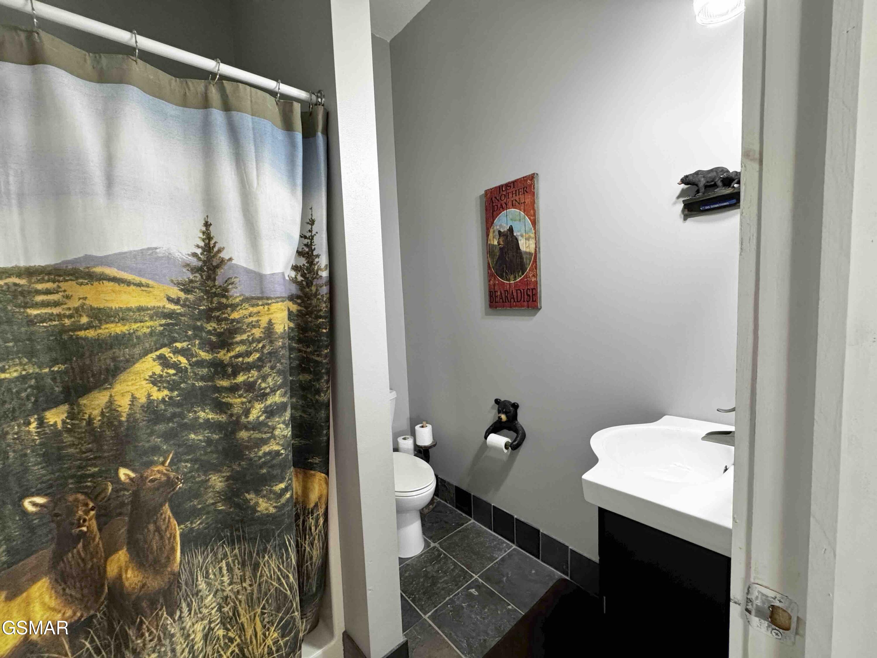 3307 Chinquepin Drive Sevierville TN 37876