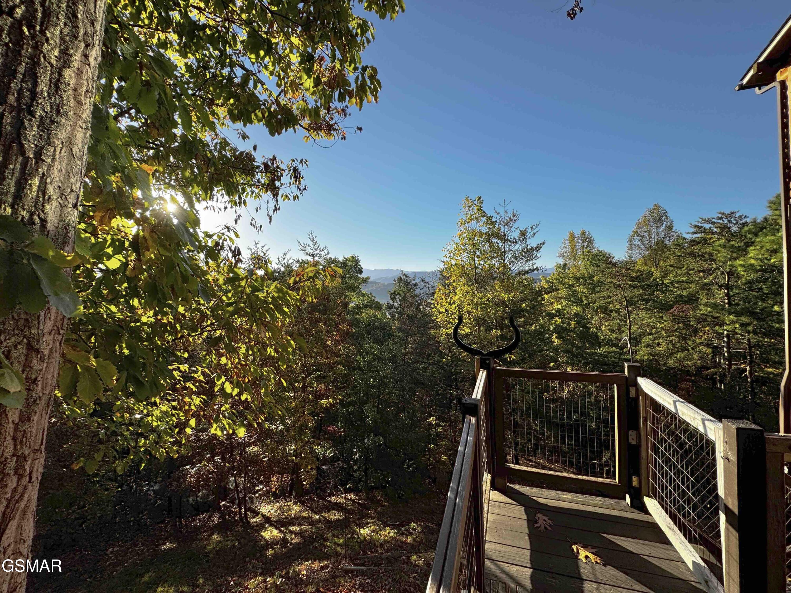 3307 Chinquepin Drive Sevierville TN 37876