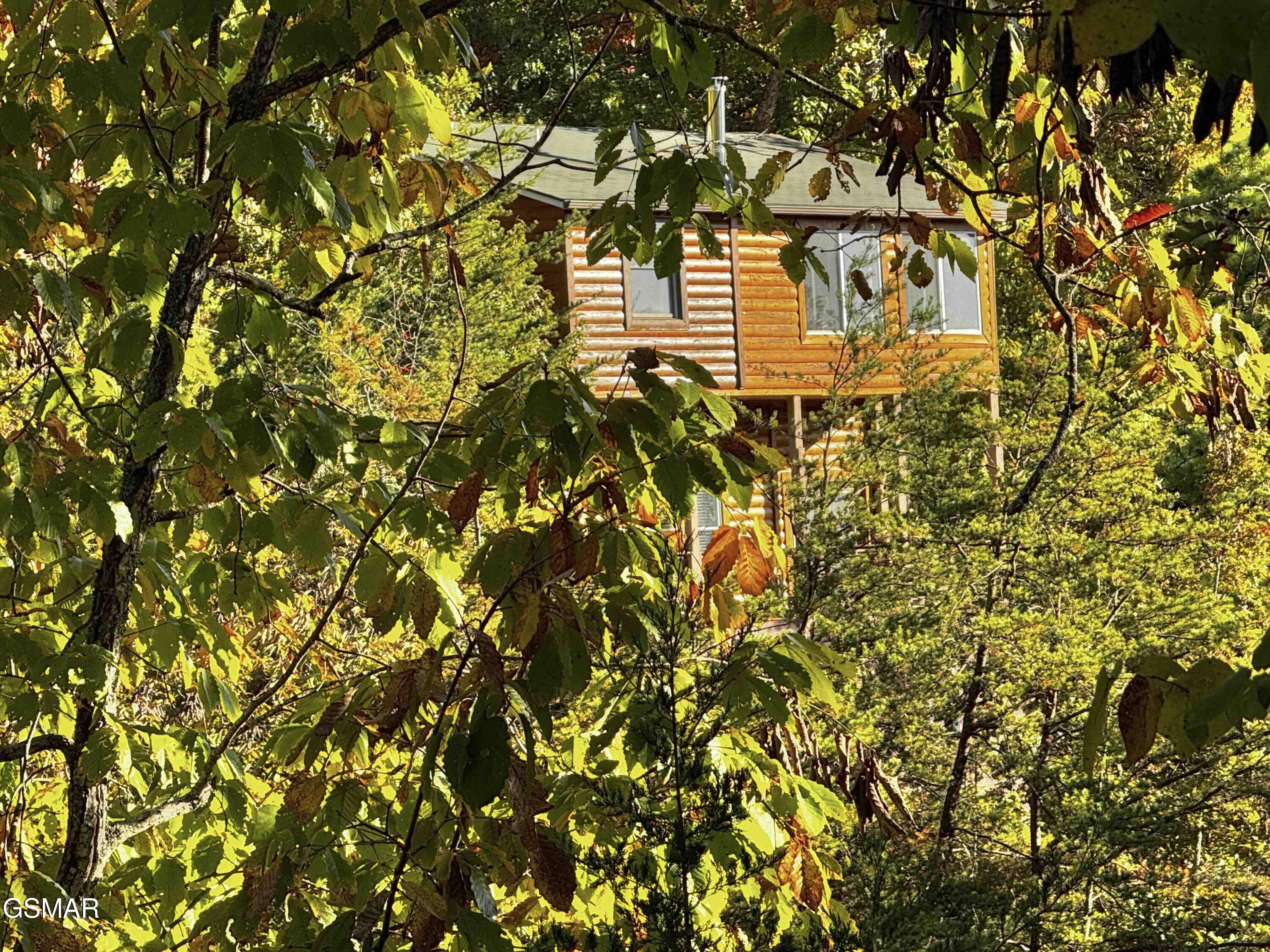 3307 Chinquepin Drive Sevierville TN 37876