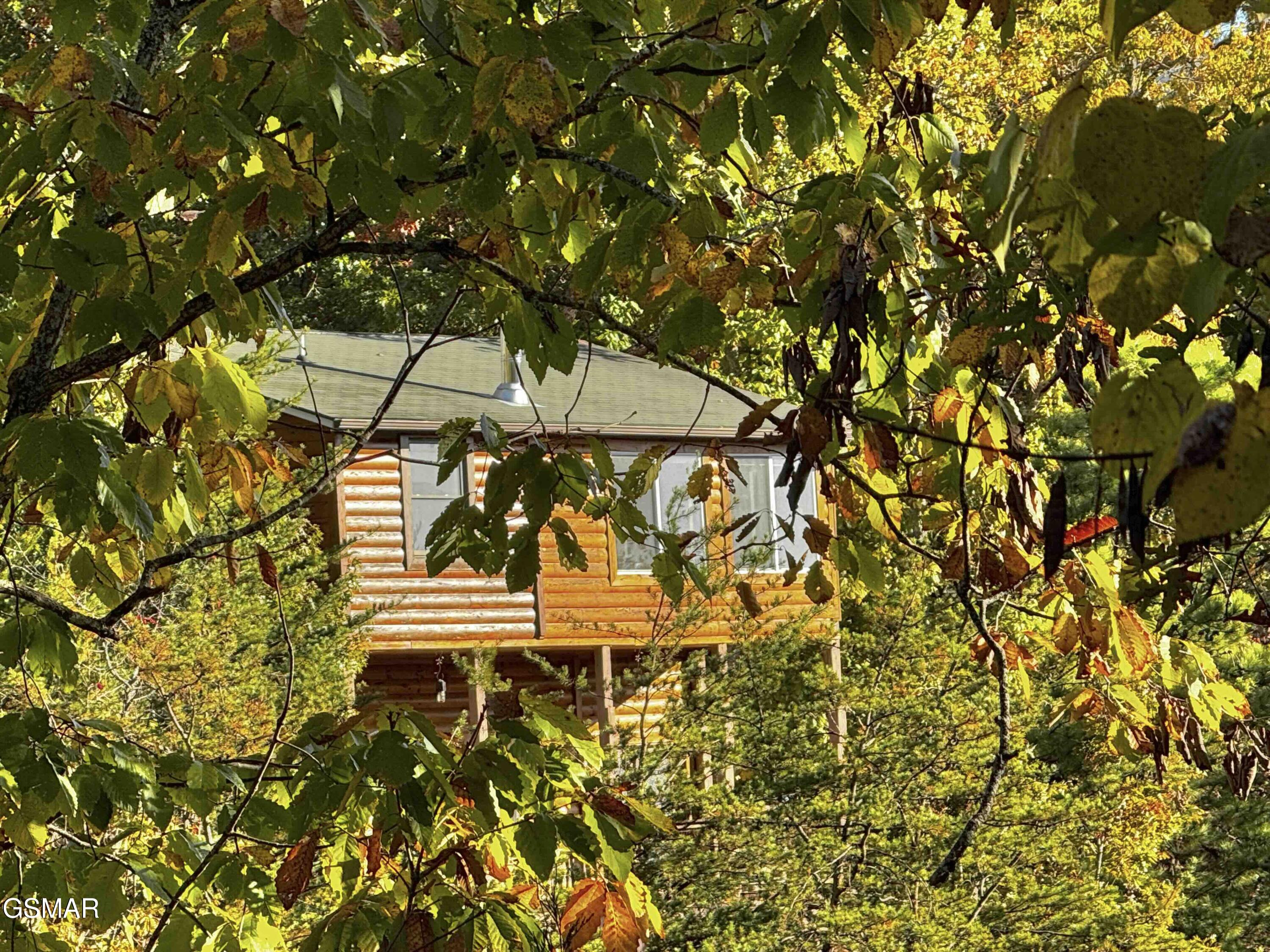 3307 Chinquepin Drive Sevierville TN 37876