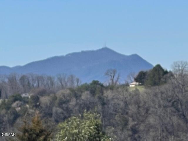 2205 Murphys Chapel Drive Sevierville TN 37876