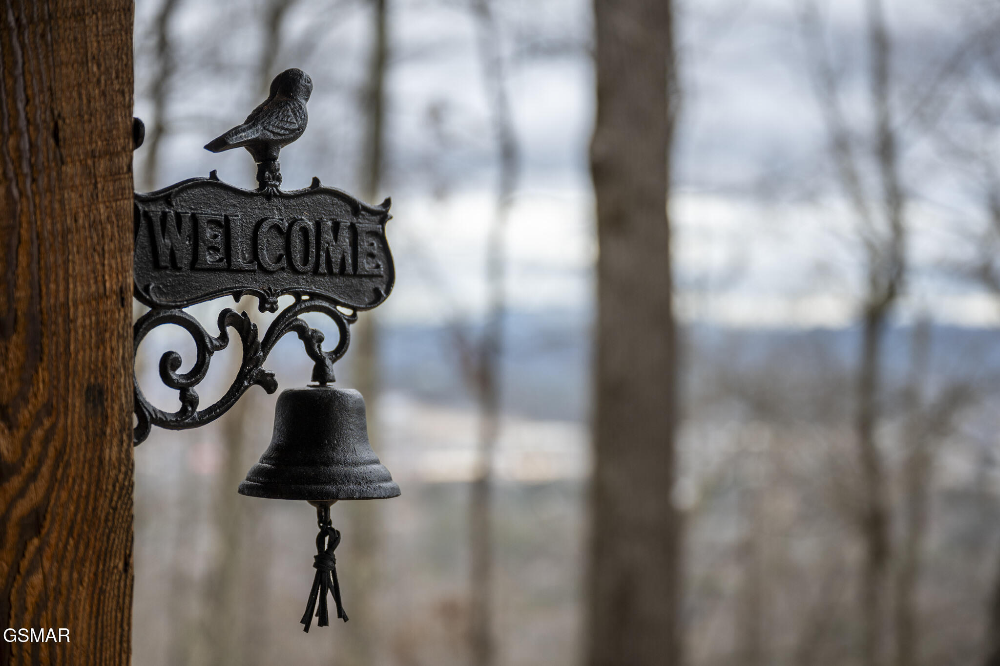 3479 Twin City Way Pigeon Forge TN 37863