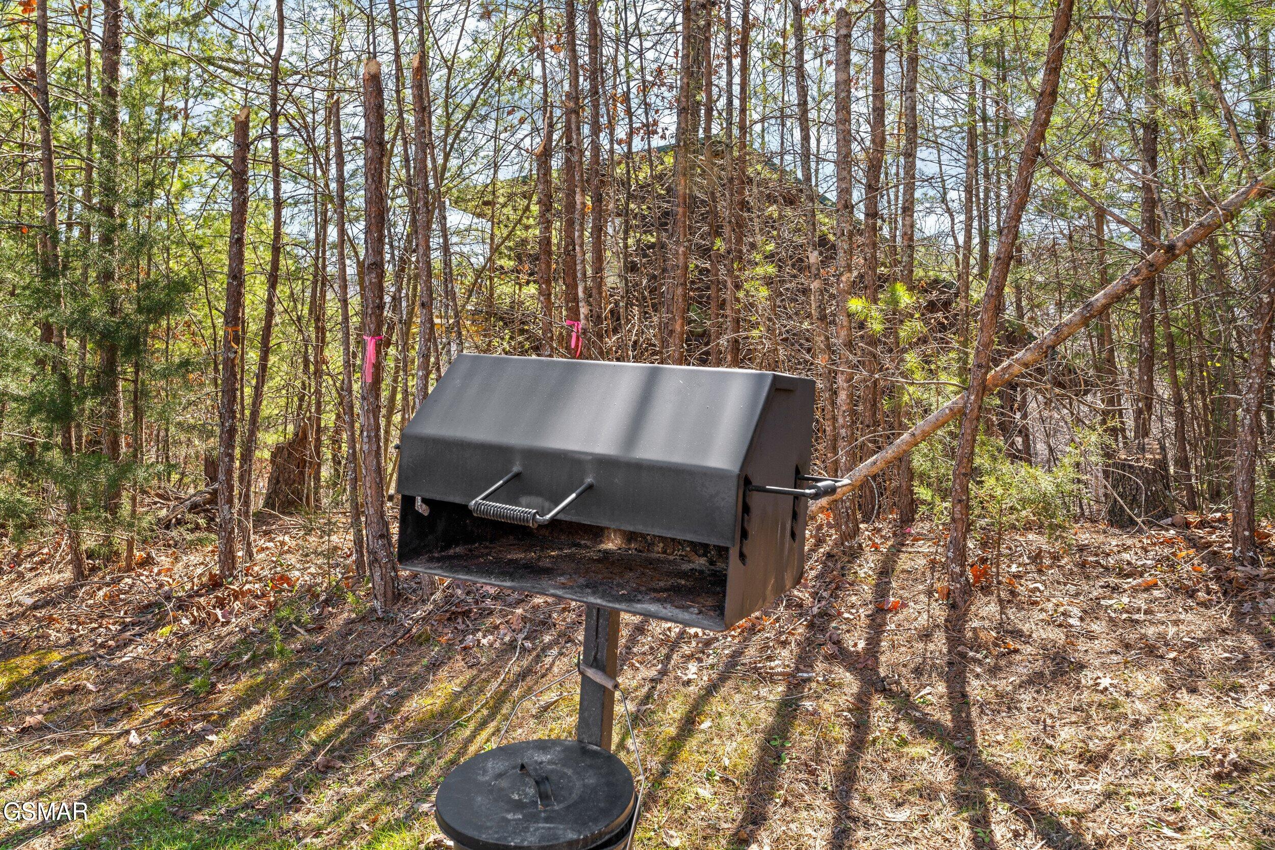 2971 Drue Fox Way Sevierville TN 37862