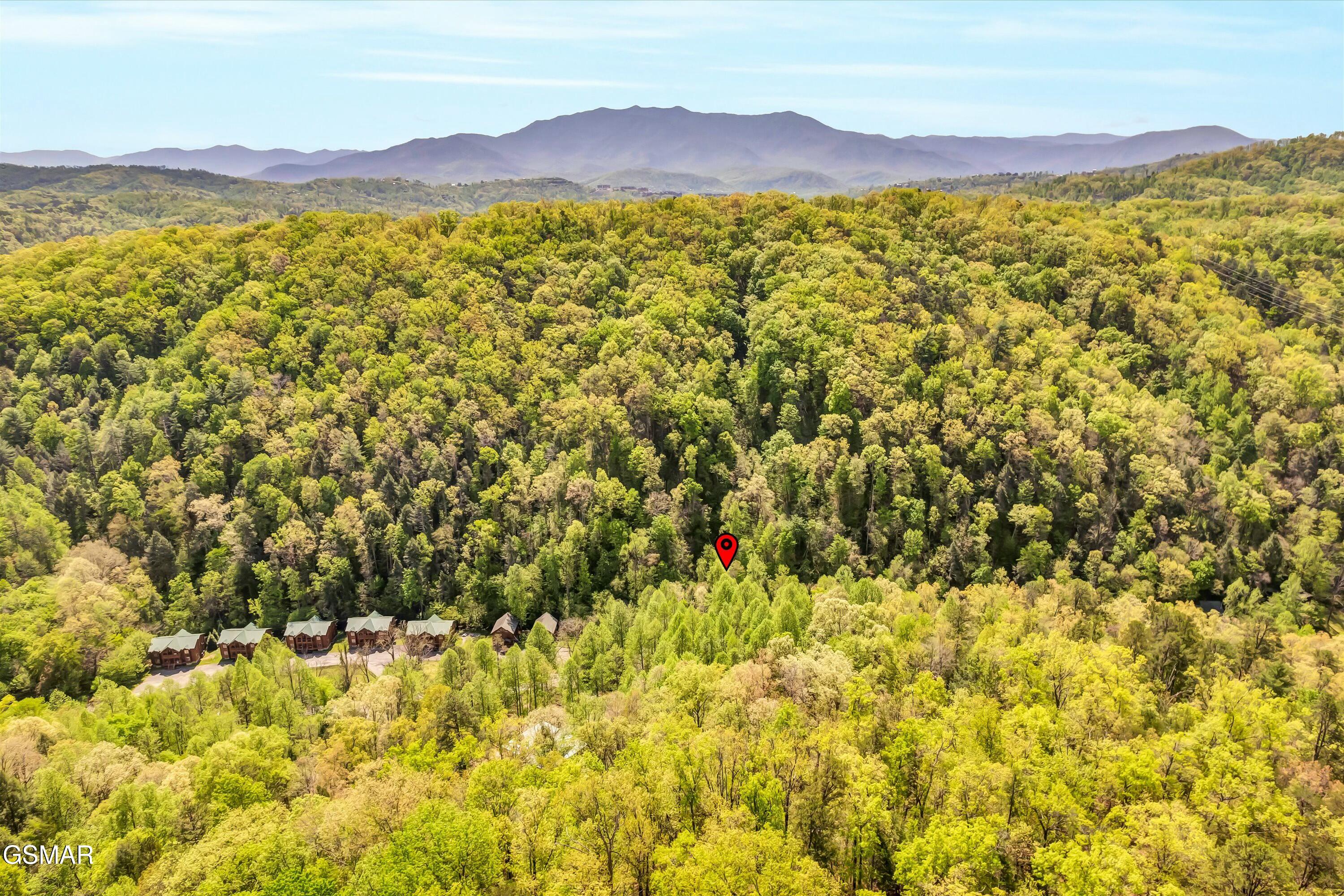 335 Caney Creek Road Pigeon Forge TN 37863