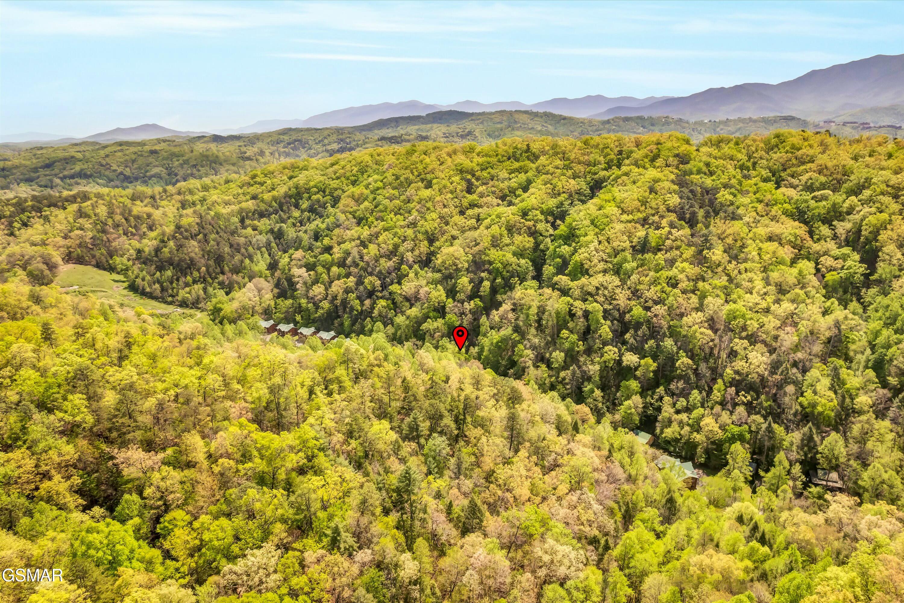 335 Caney Creek Road Pigeon Forge TN 37863