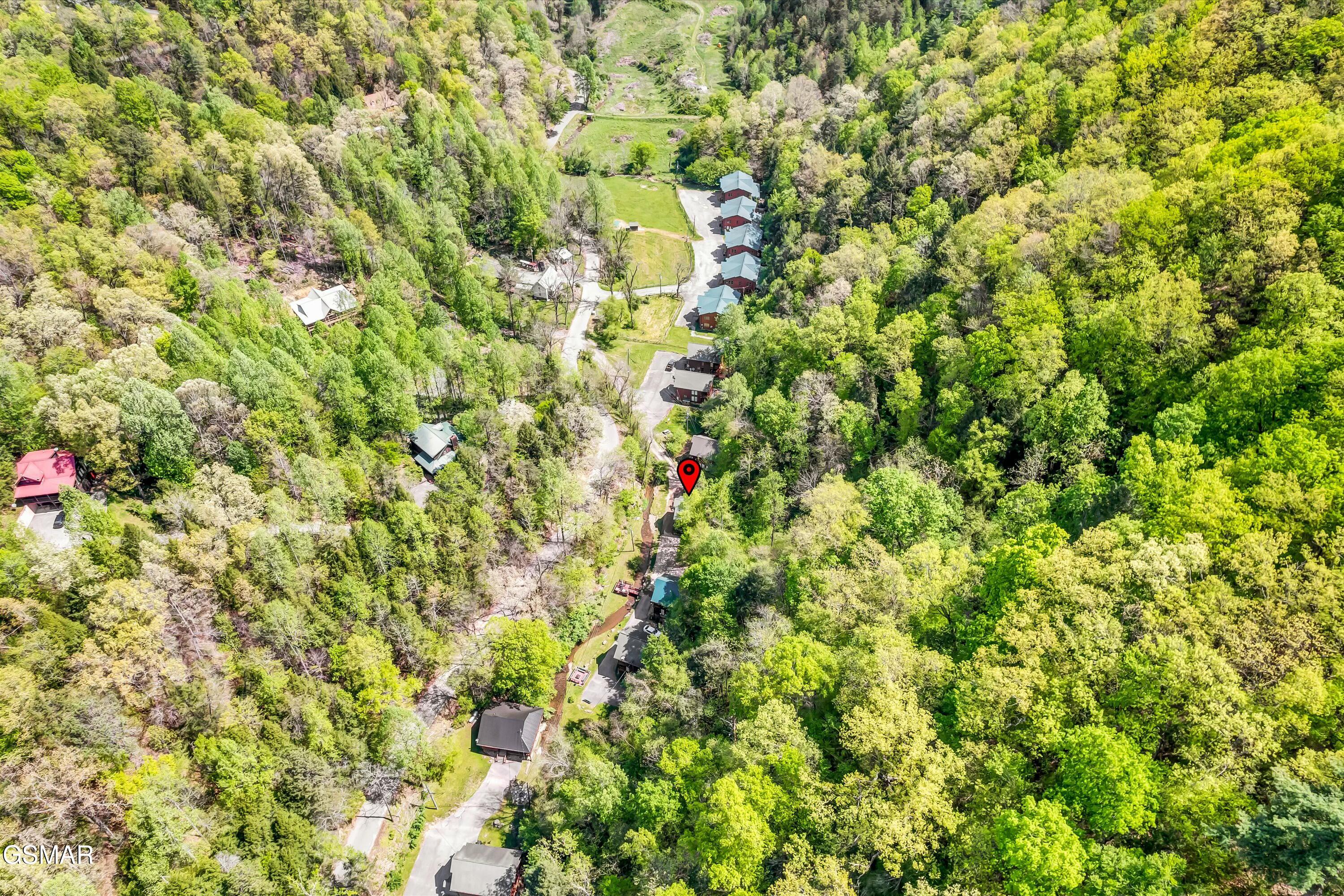 335 Caney Creek Road Pigeon Forge TN 37863