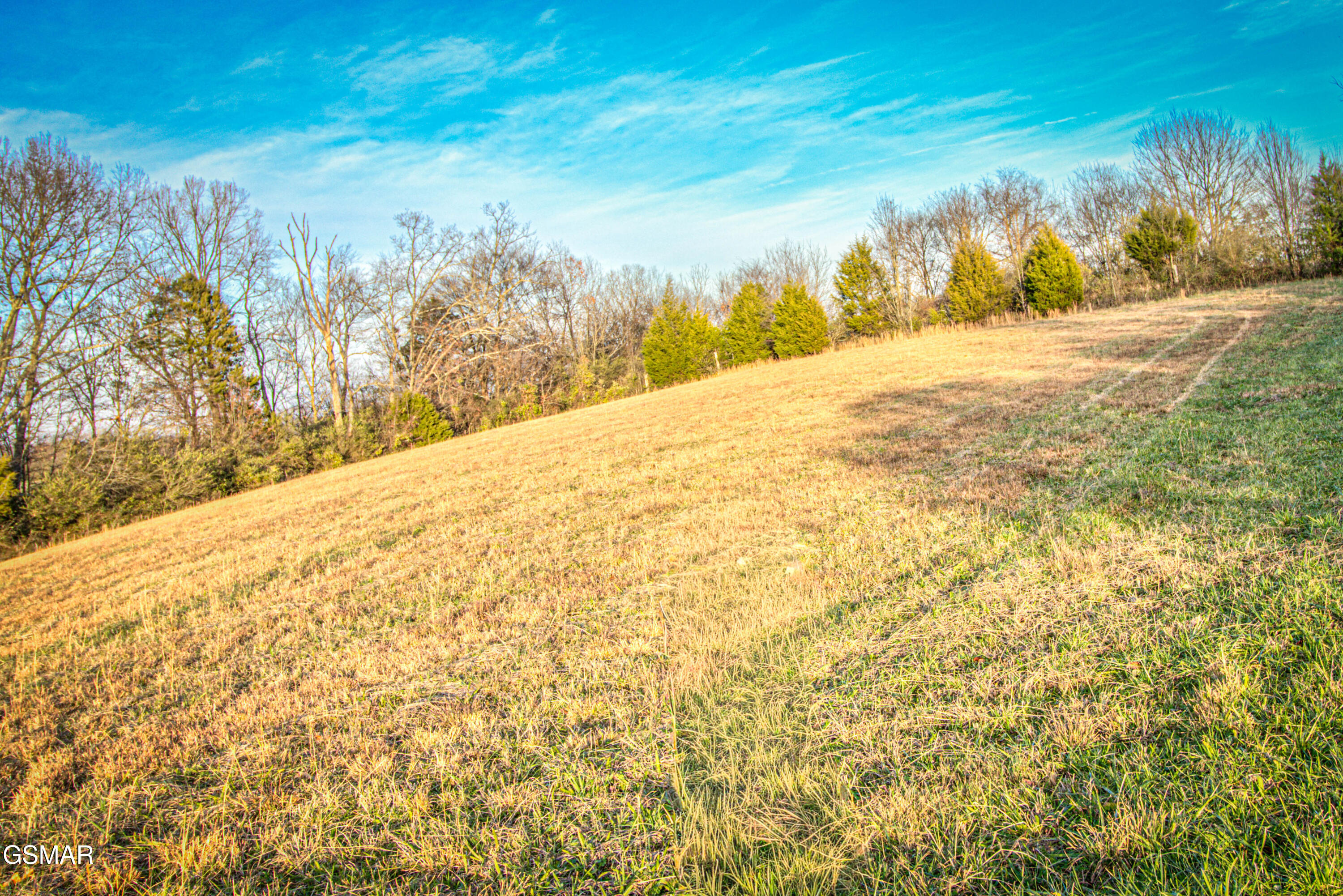 500 Allison Town Road Philadelphia TN 37846