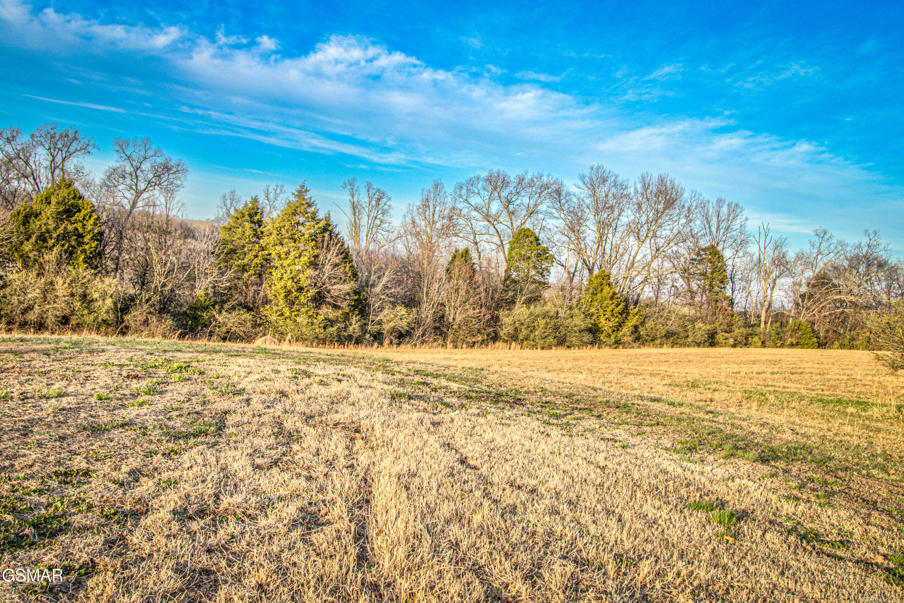 500 Allison Town Road Philadelphia TN 37846