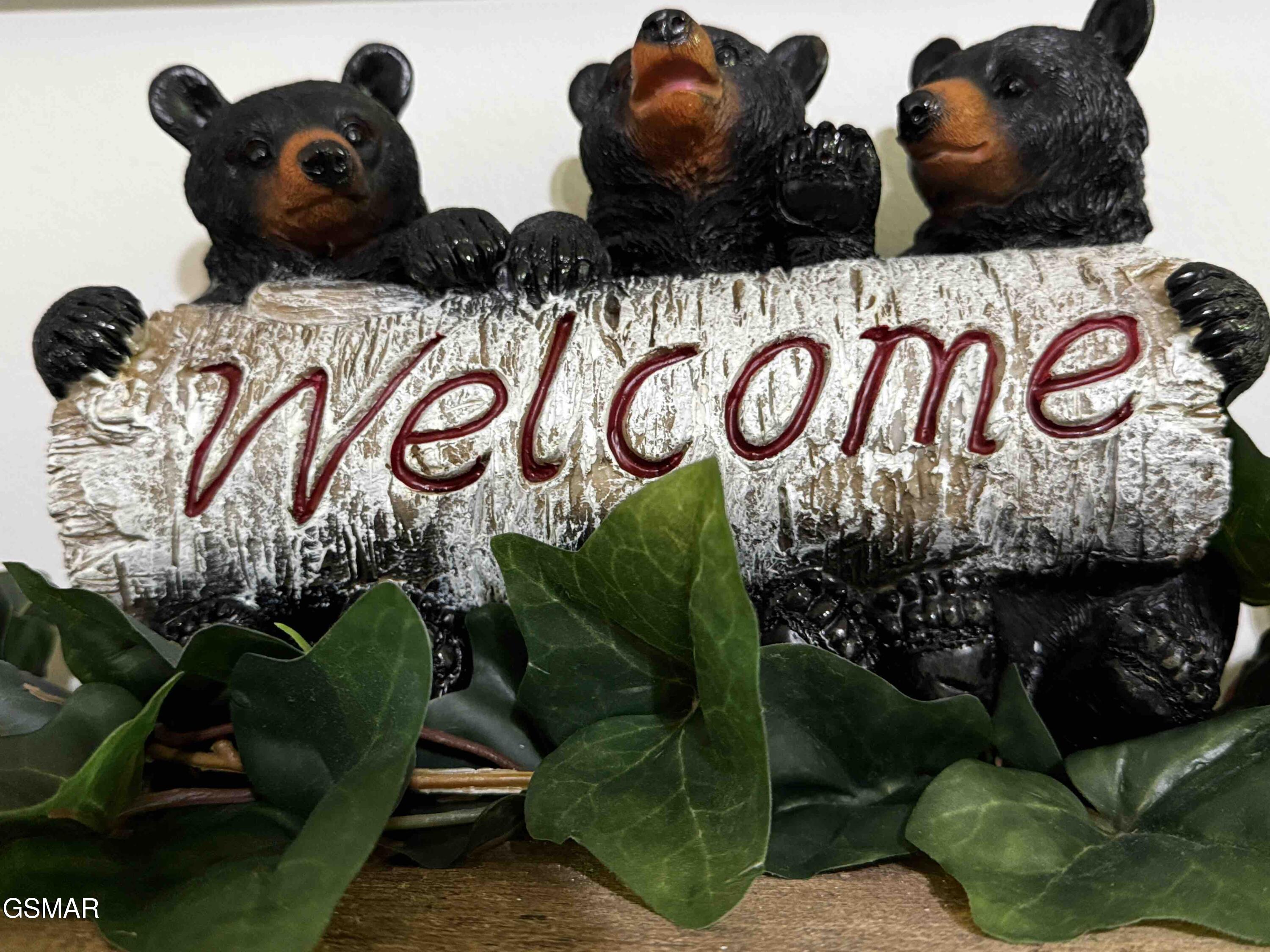 653 Oaks View Court Pigeon Forge TN 37863