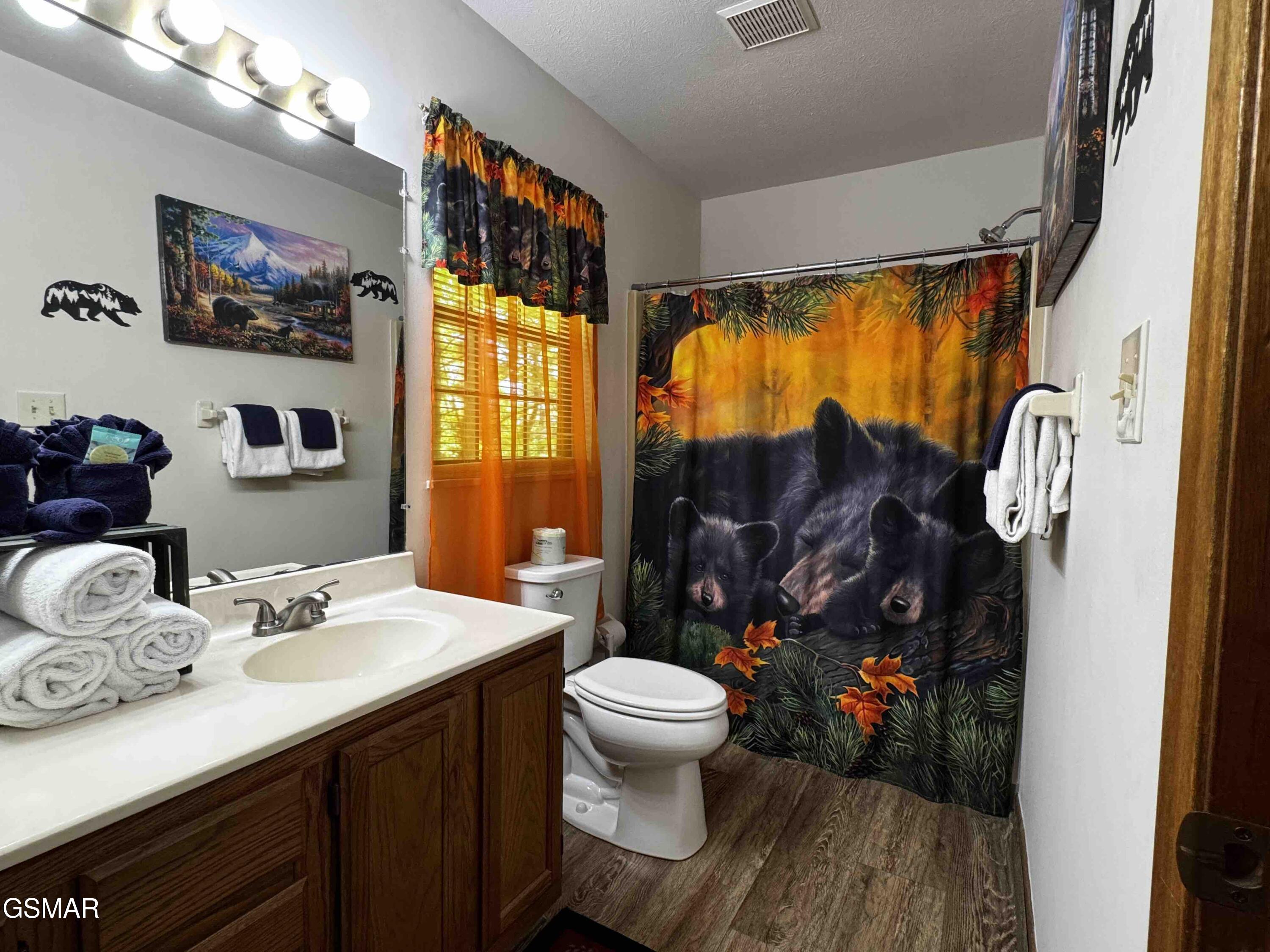 653 Oaks View Court Pigeon Forge TN 37863