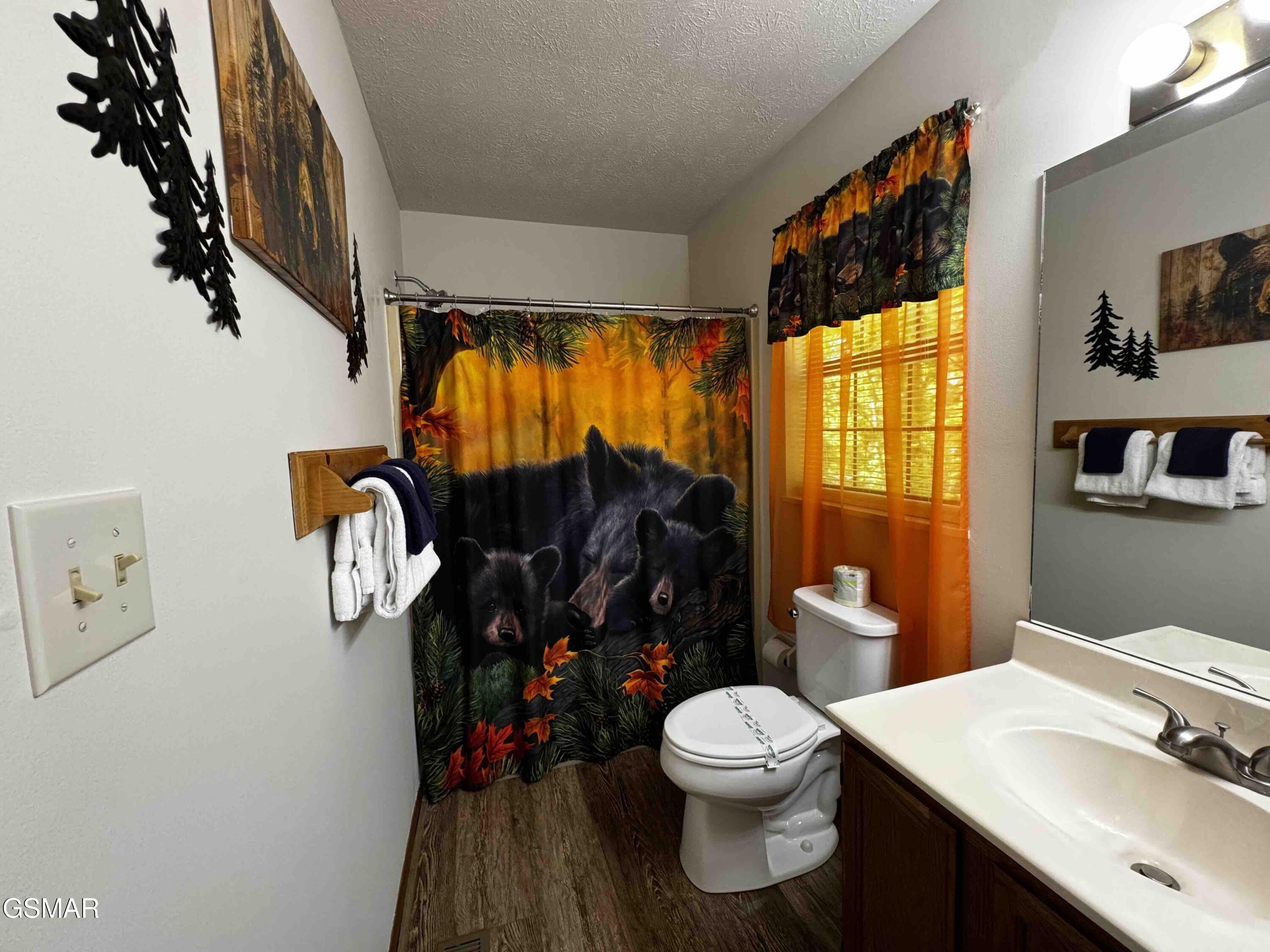 653 Oaks View Court Pigeon Forge TN 37863