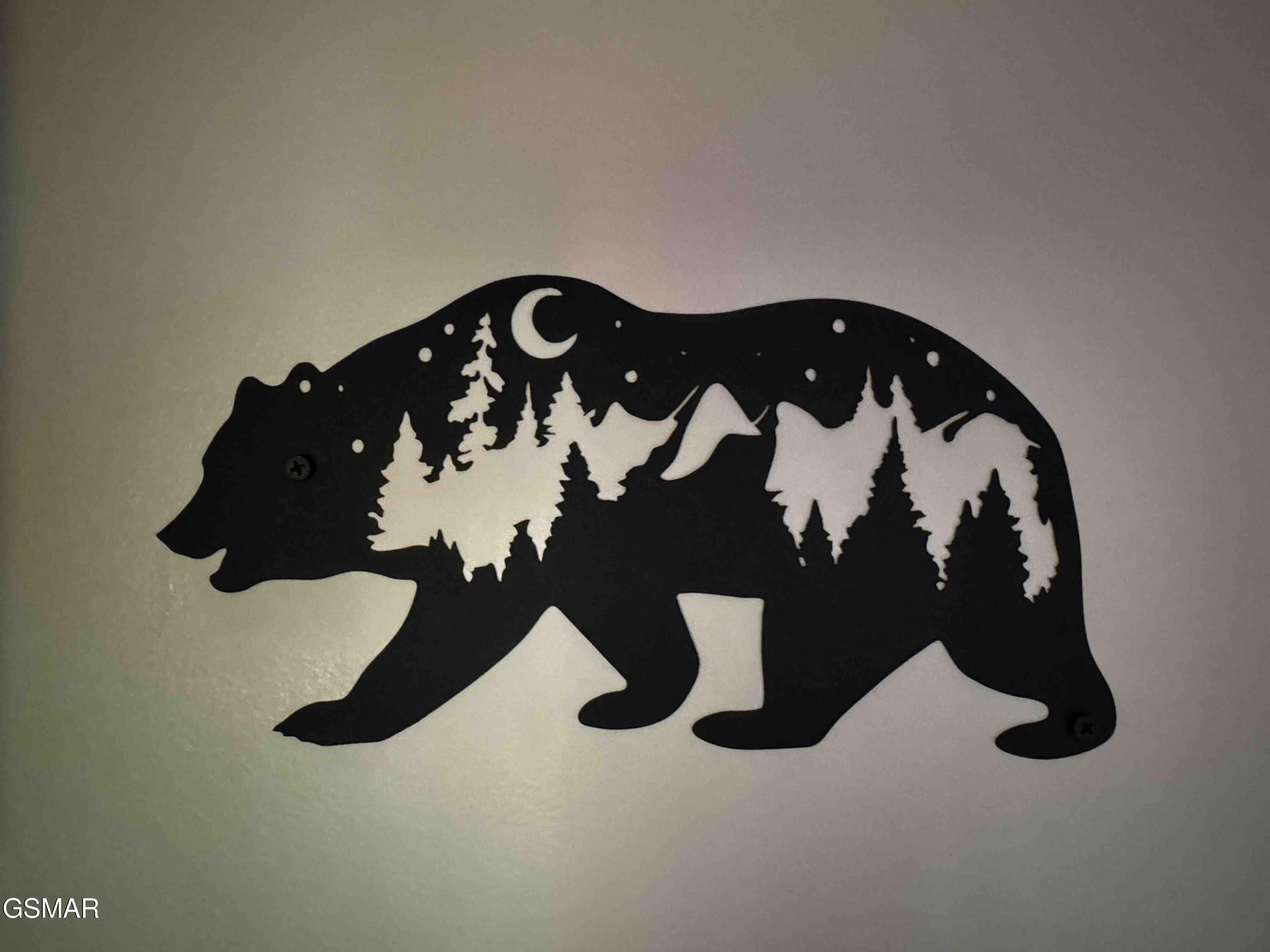 653 Oaks View Court Pigeon Forge TN 37863