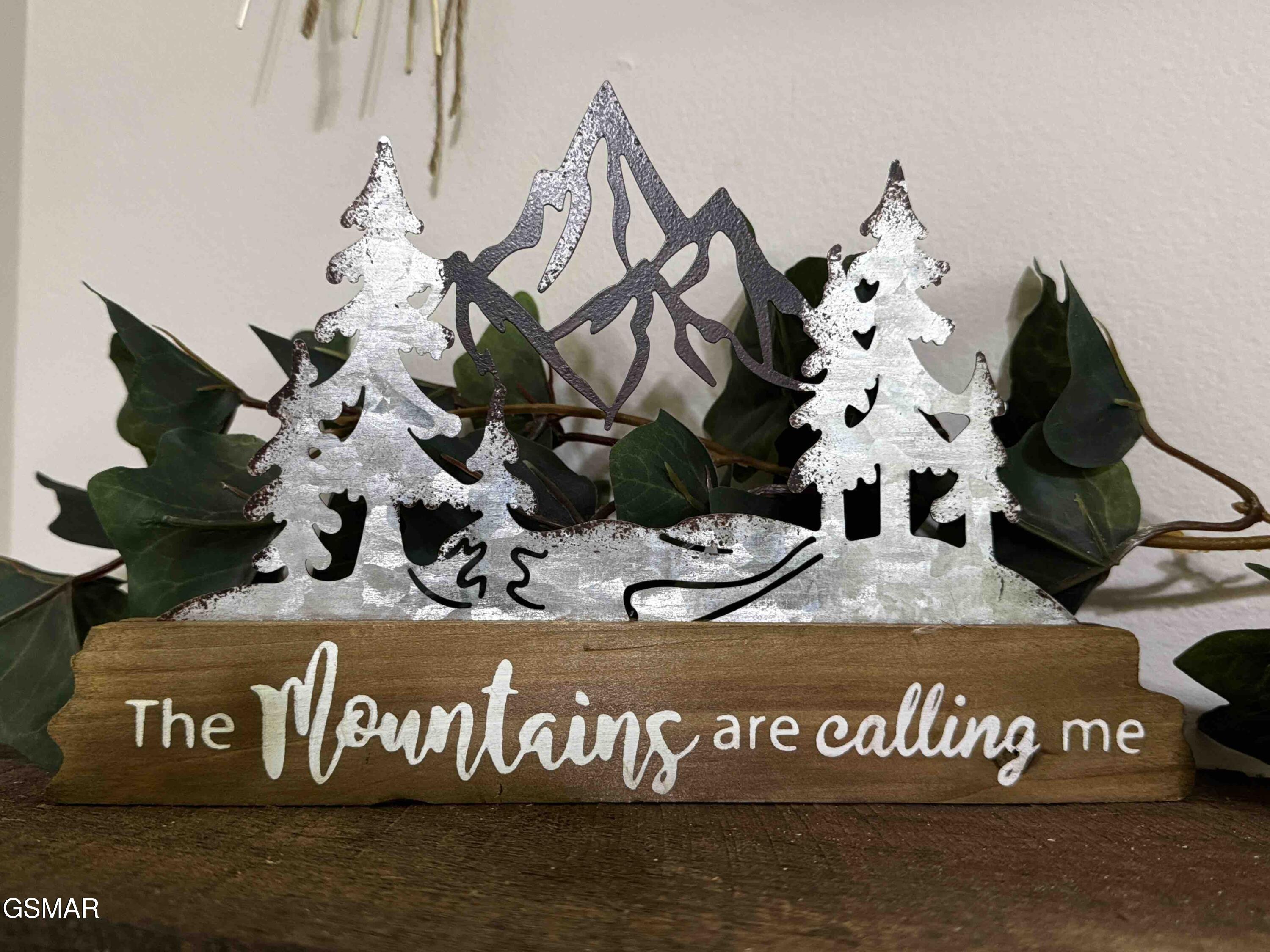 653 Oaks View Court Pigeon Forge TN 37863