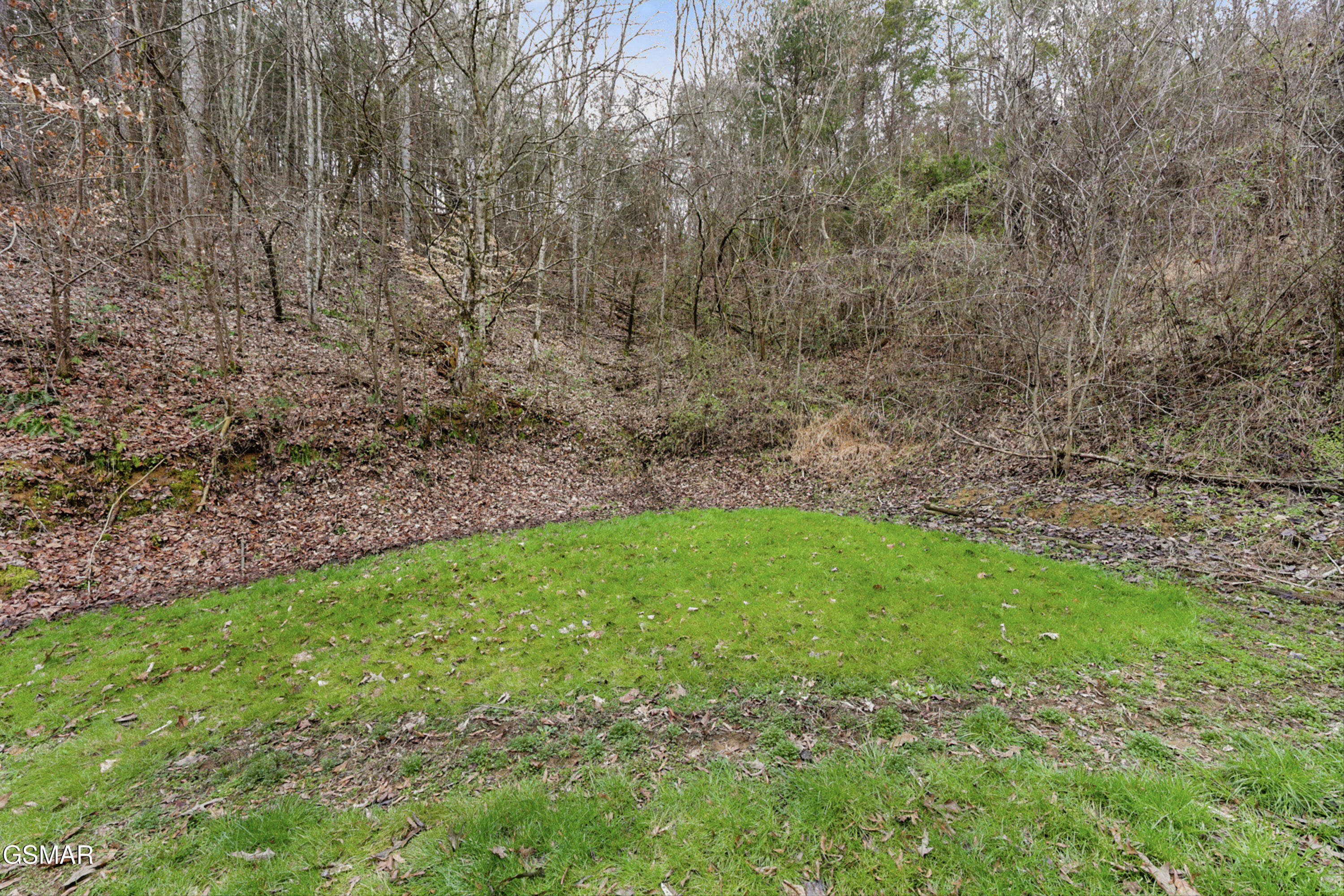 1223 Powder Springs Road Sevierville TN 37876